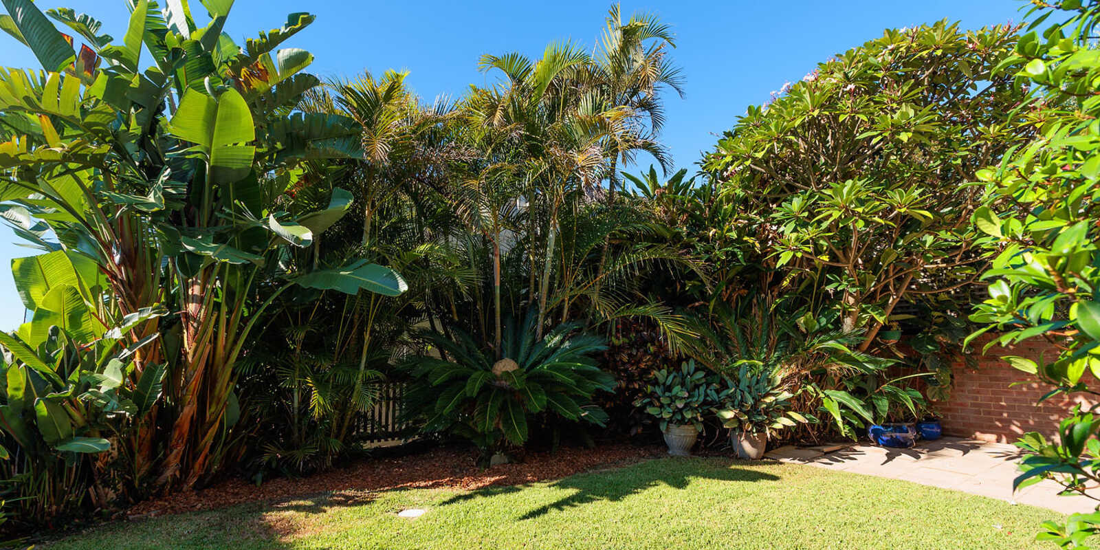 24 Douglas Street Clovelly 24 Douglas Street Clovelly