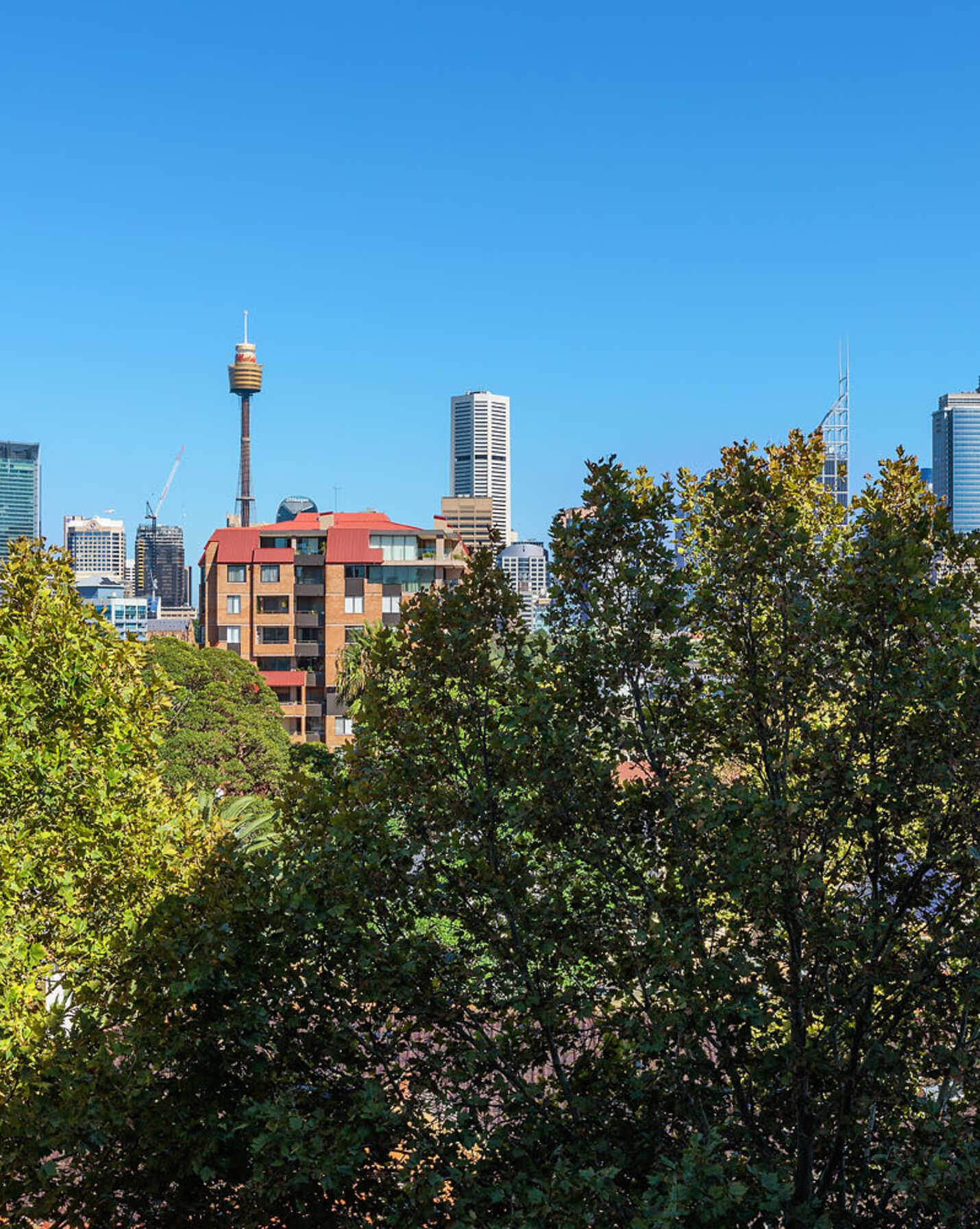 511/1a Tusculum Street Potts Point, Point - Thumbnail 3