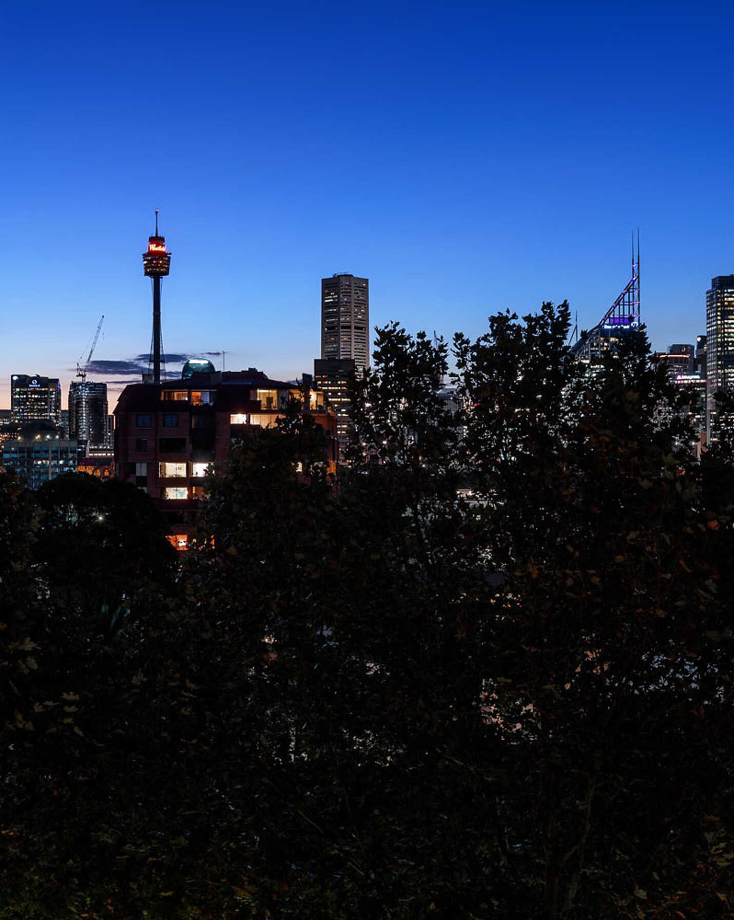 511/1a Tusculum Street Potts Point, Point - Thumbnail 7