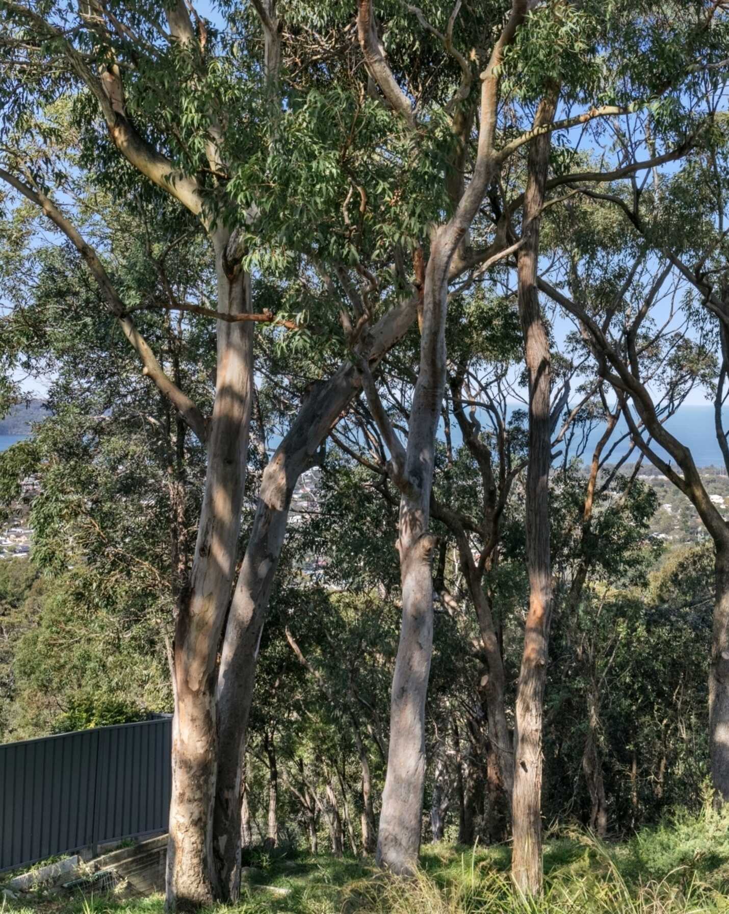 35 The Palisade Umina Beach, Beach - Thumbnail 2