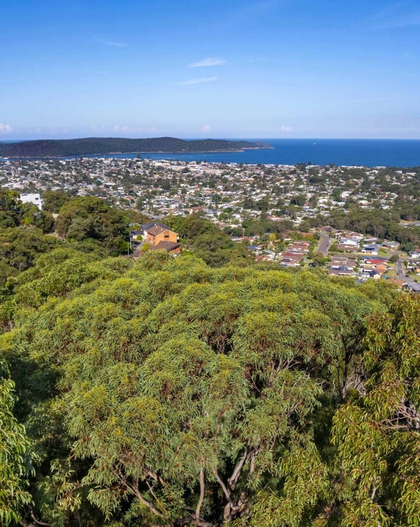 35 The Palisade Umina Beach, Beach - Thumbnail 6