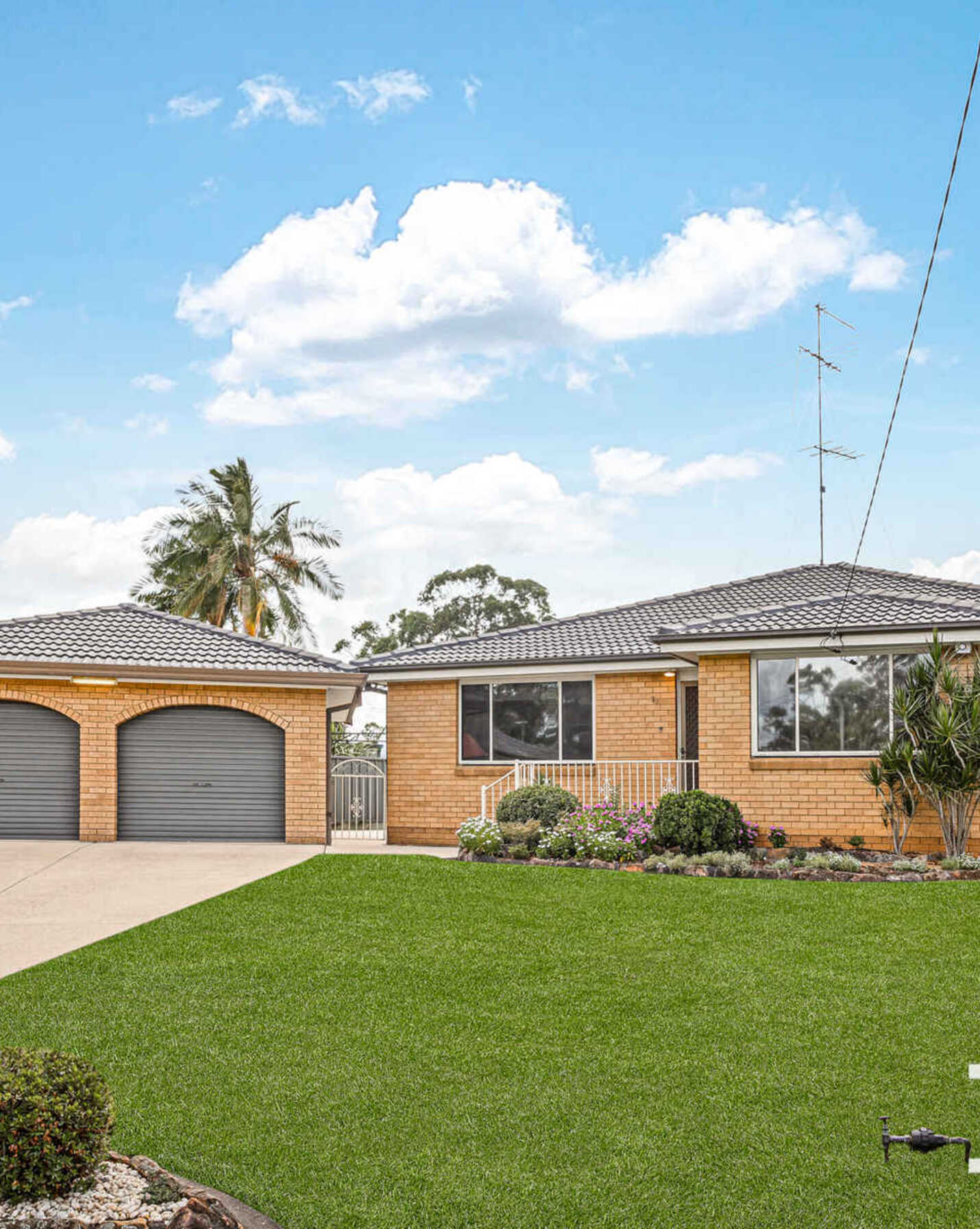 31 Aber Grove Mount Druitt, Druitt - Thumbnail 2