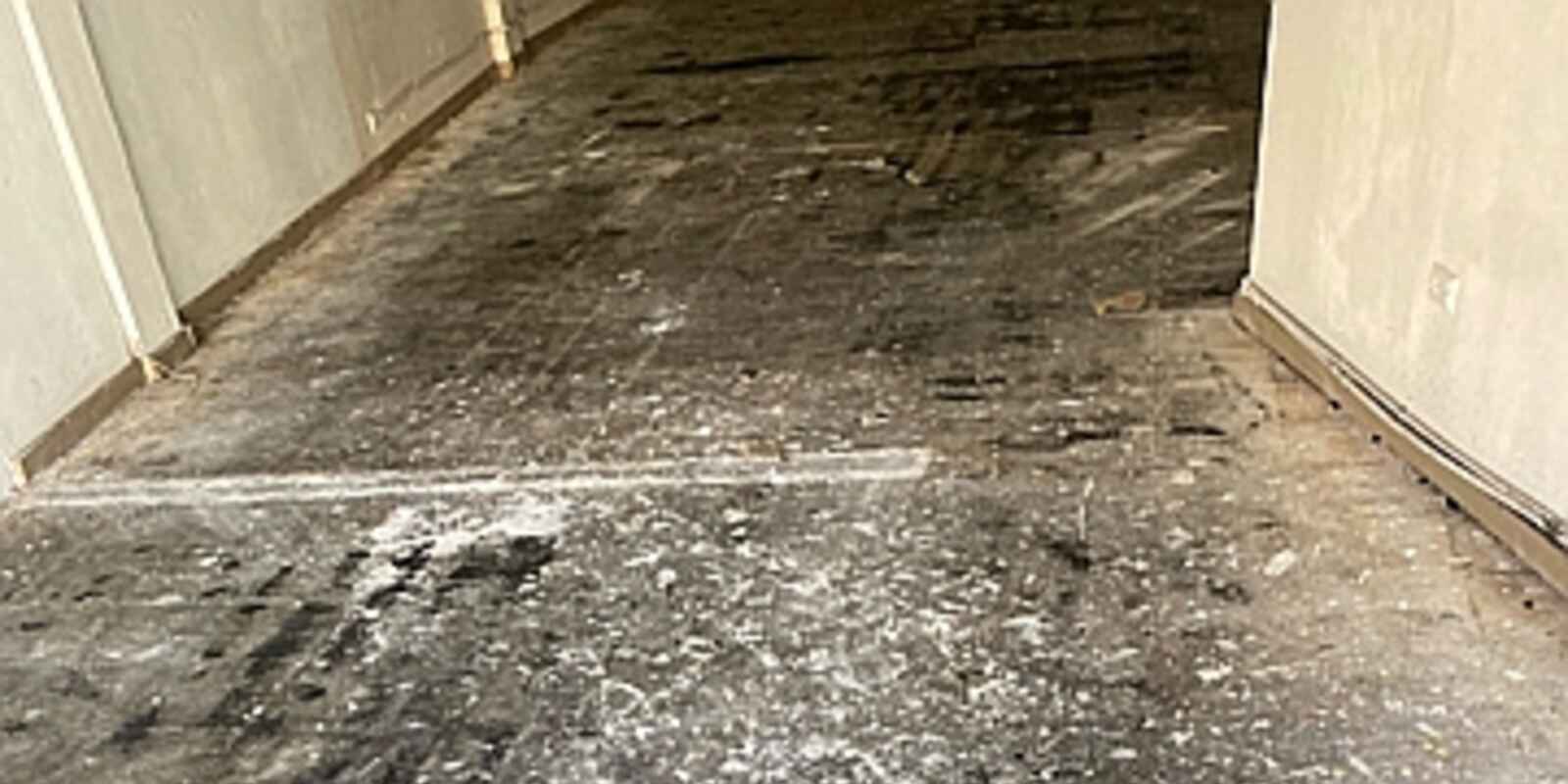 23-25-27 Botany Road Waterloo