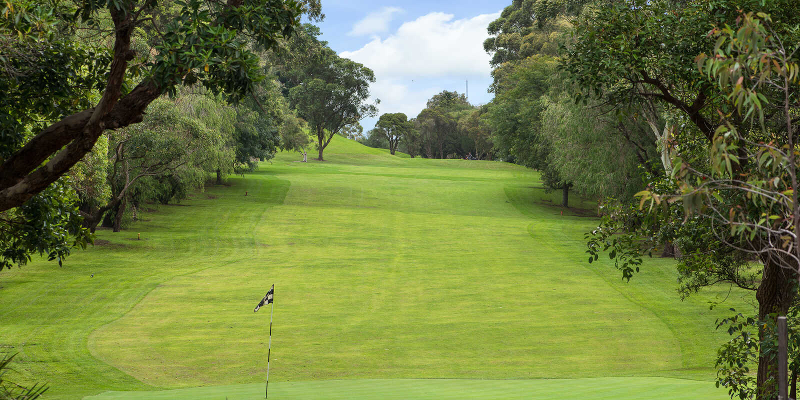 1/370 Miller Street Cammeray 1/370 Miller Street Cammeray