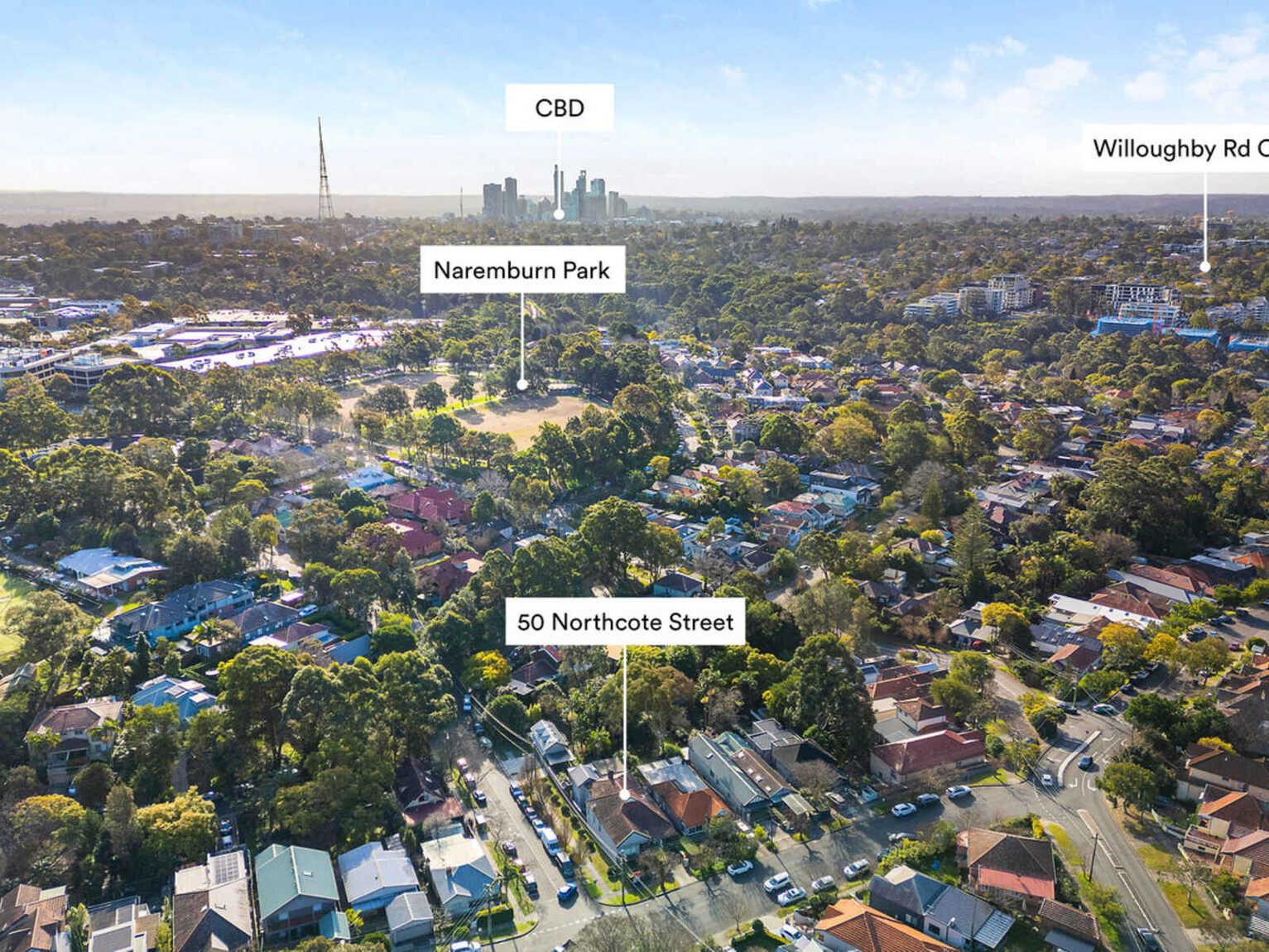 50 Northcote Street Naremburn