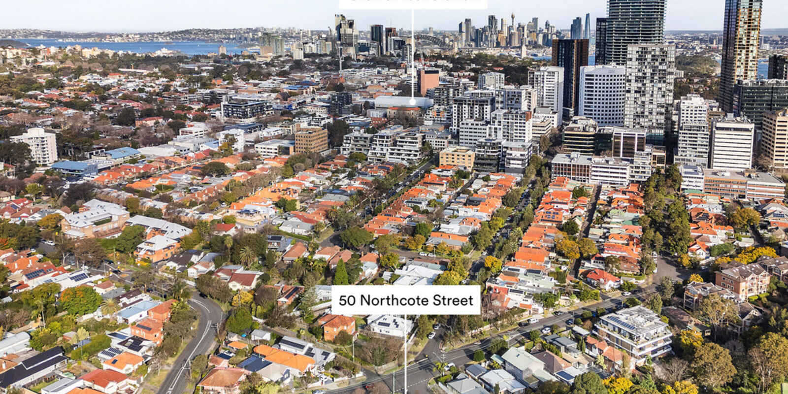 50 Northcote Street Naremburn
