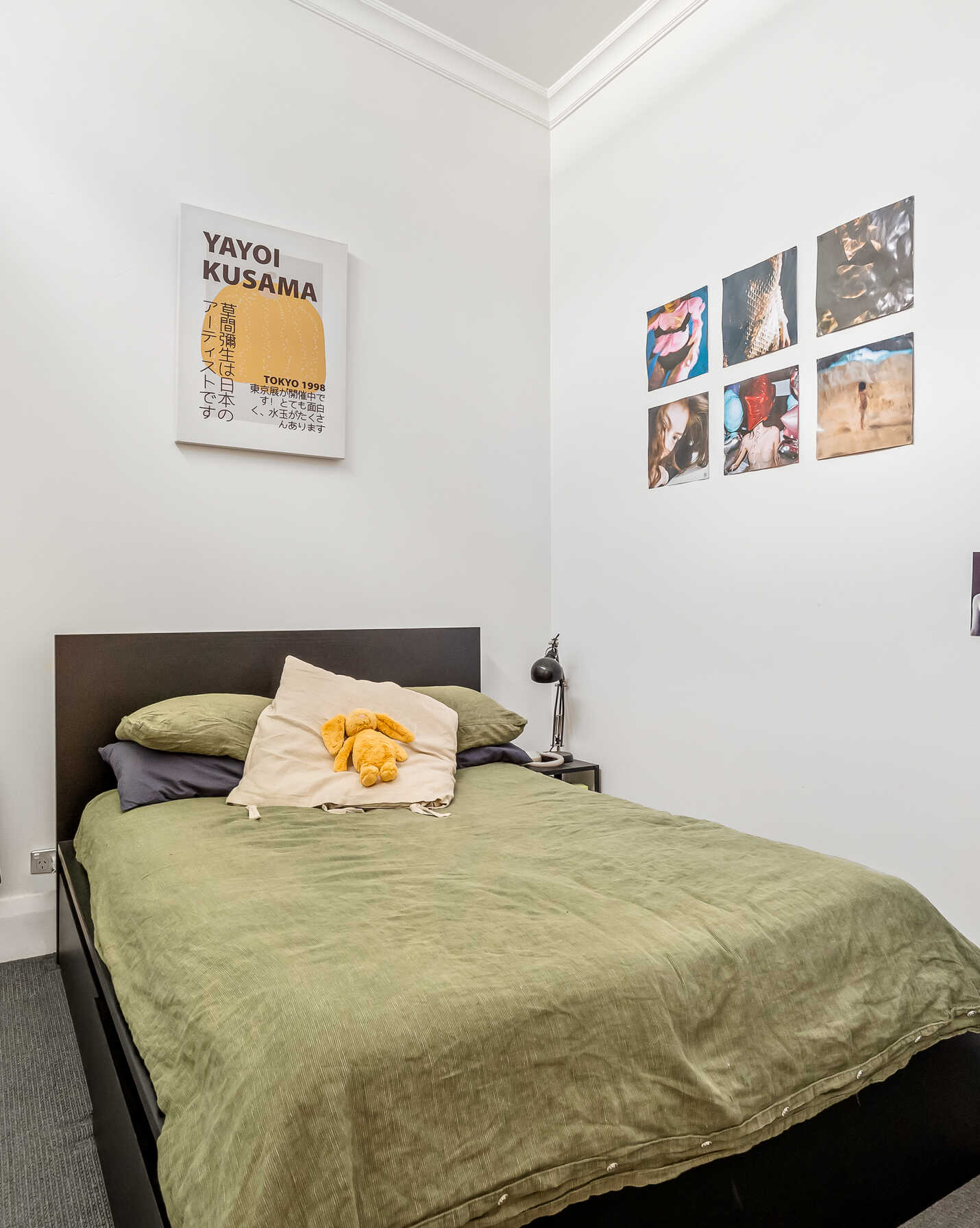 54 MARIAN STREET Enmore, Enmore - Thumbnail 4
