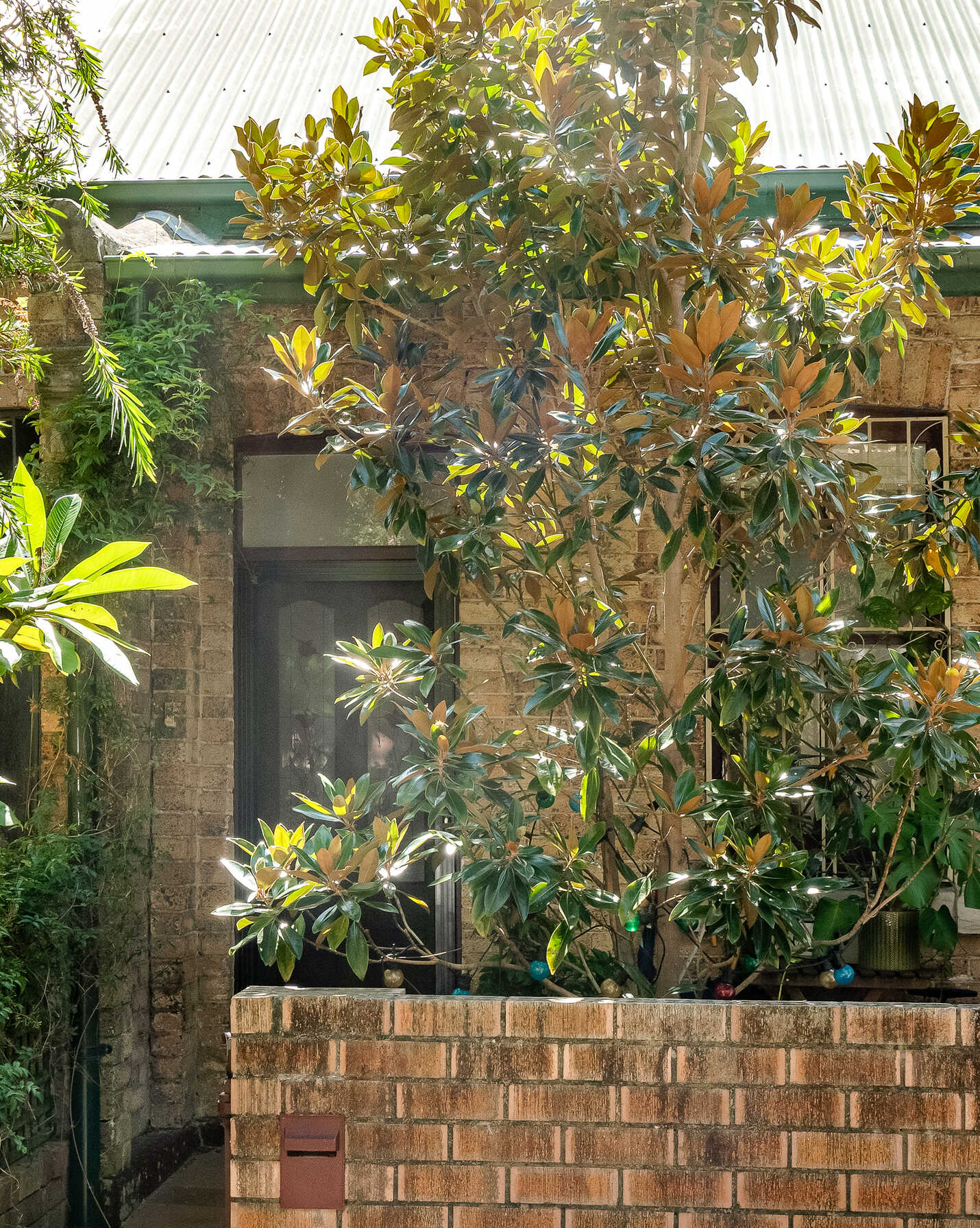 54 MARIAN STREET Enmore, Enmore - Thumbnail 8