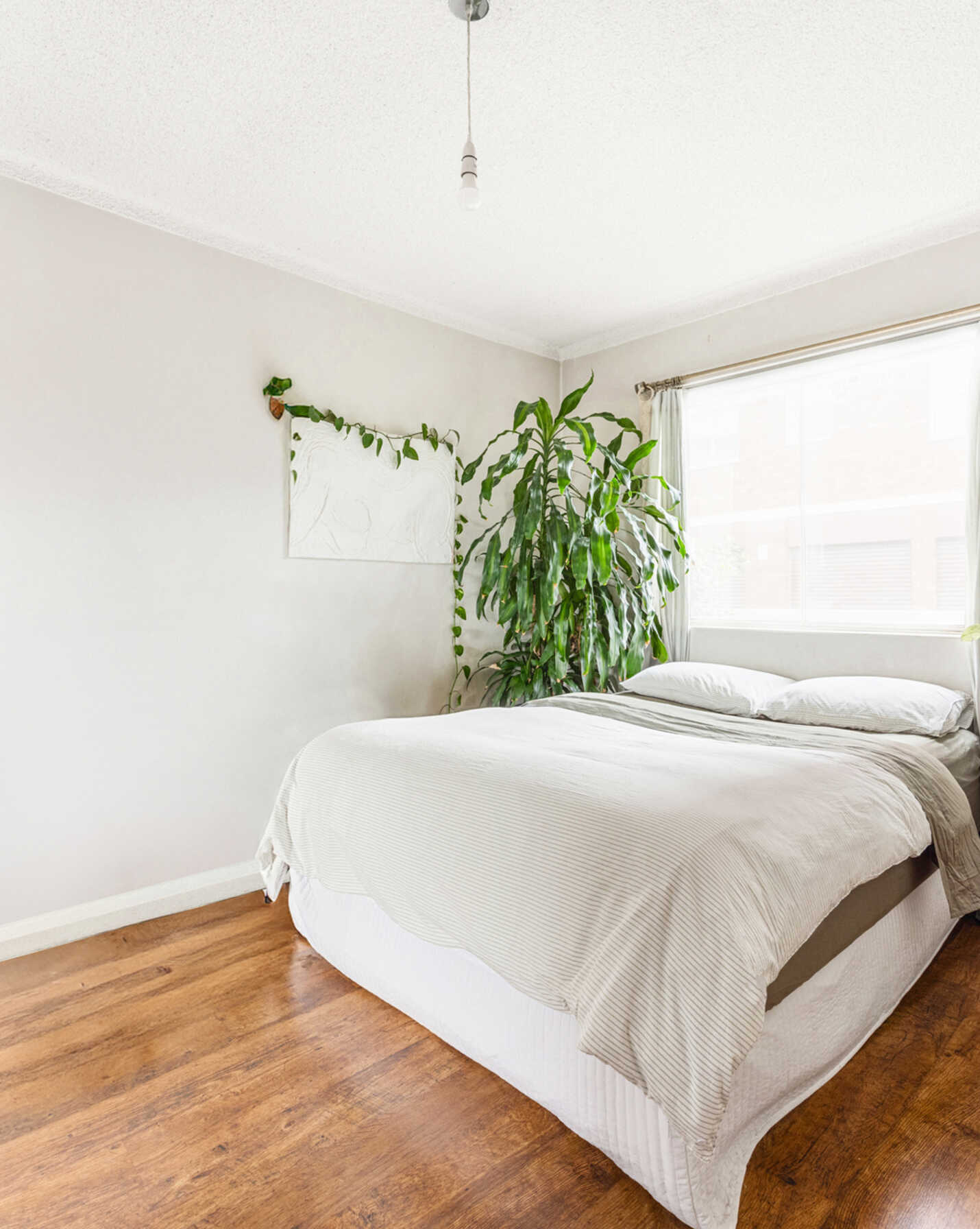 5/45 Murray Street Bronte, Bronte - Thumbnail 6