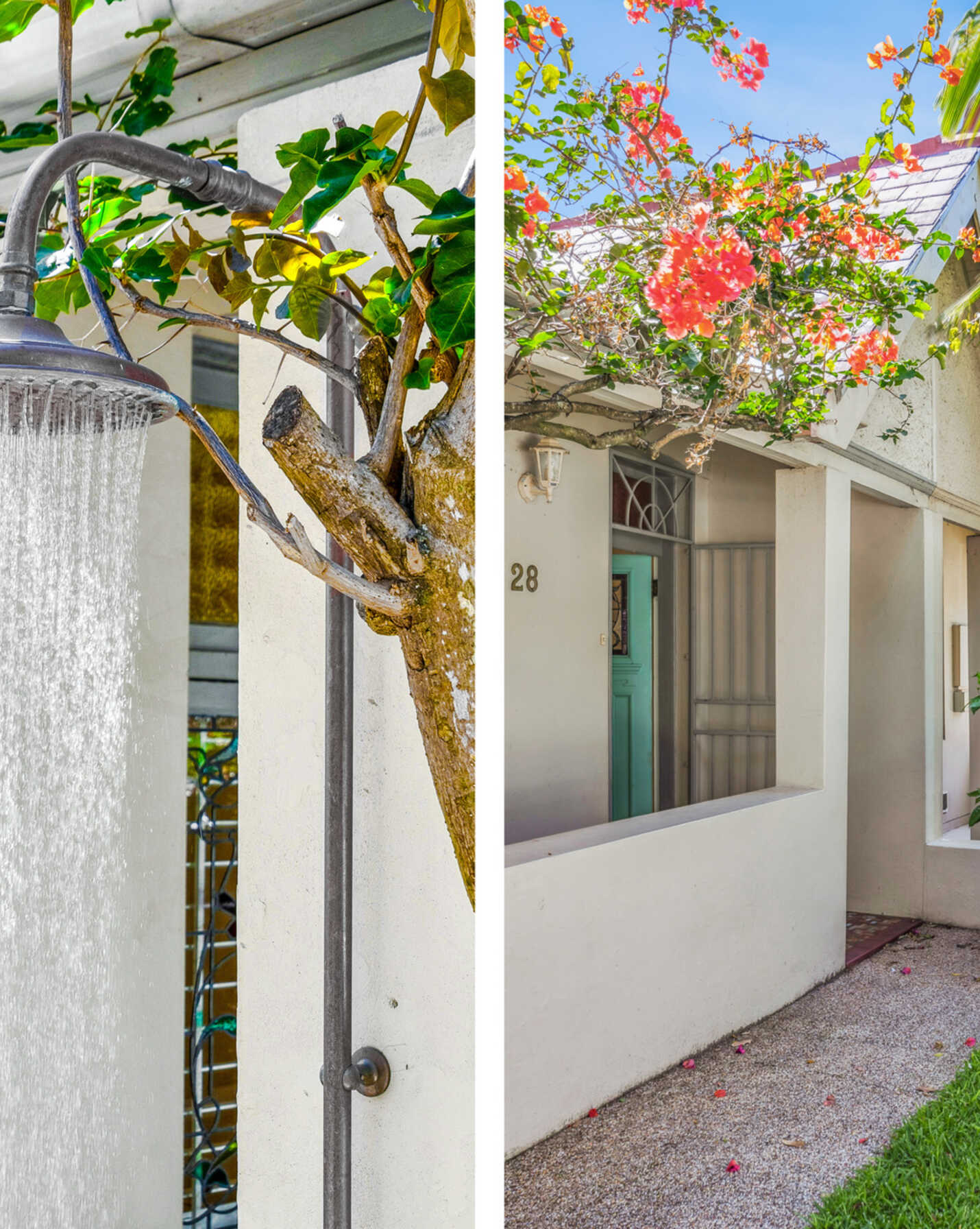 28 Rickard Avenue Bondi Beach, Beach - Thumbnail 5