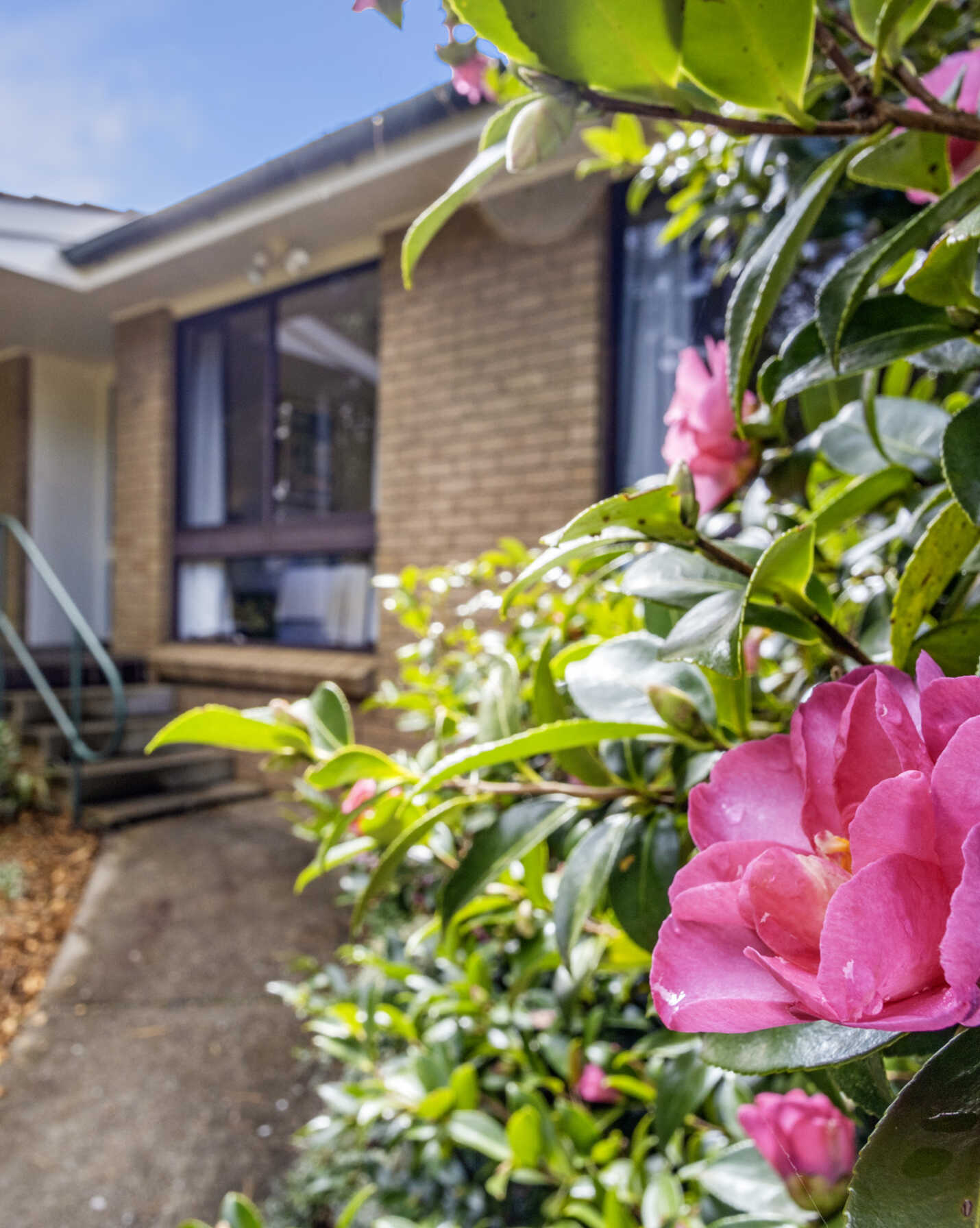 4 Belvidere Avenue Blackheath, Blackheath - Thumbnail 4