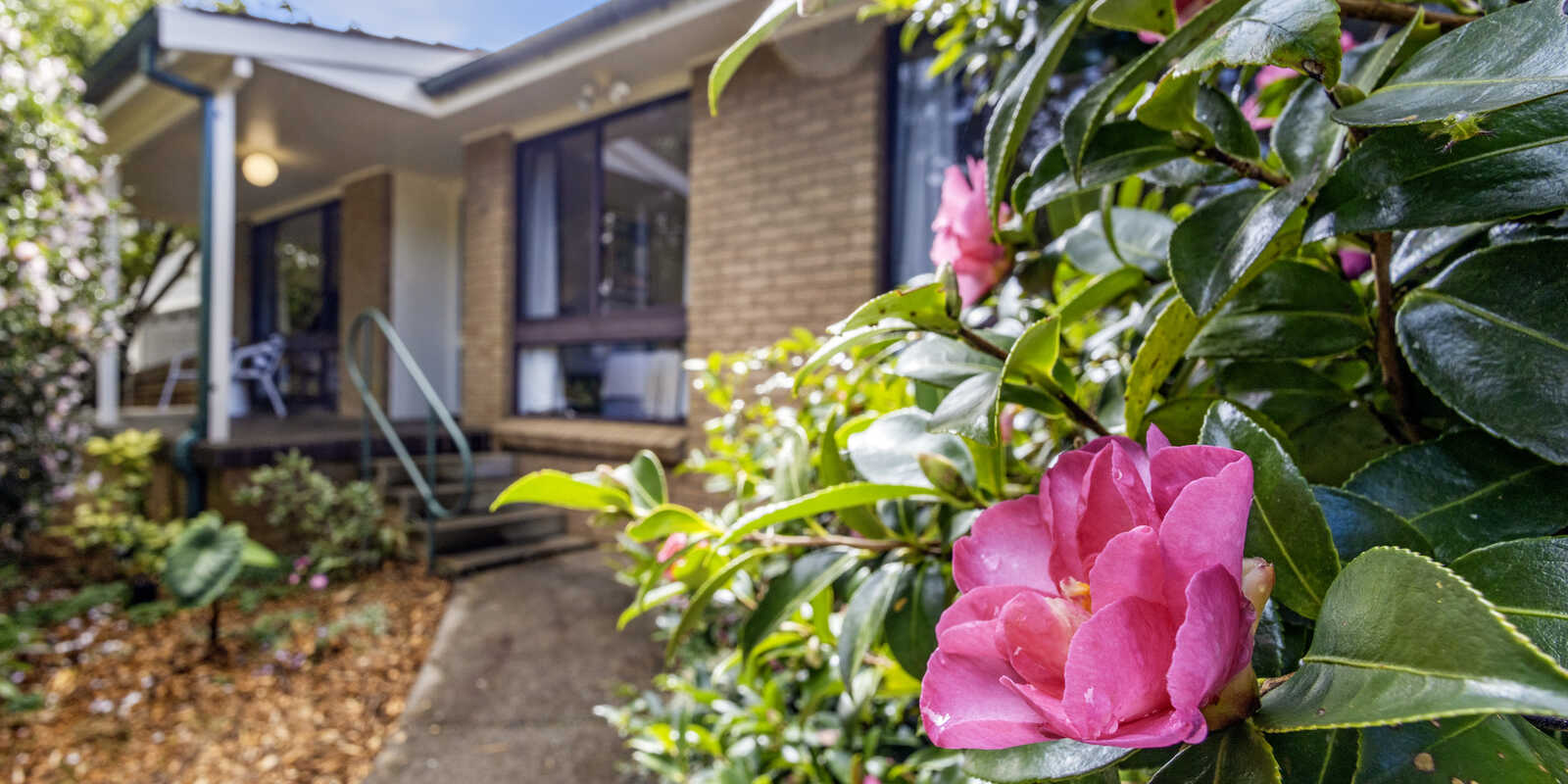 4 Belvidere Avenue Blackheath 4 Belvidere Avenue Blackheath