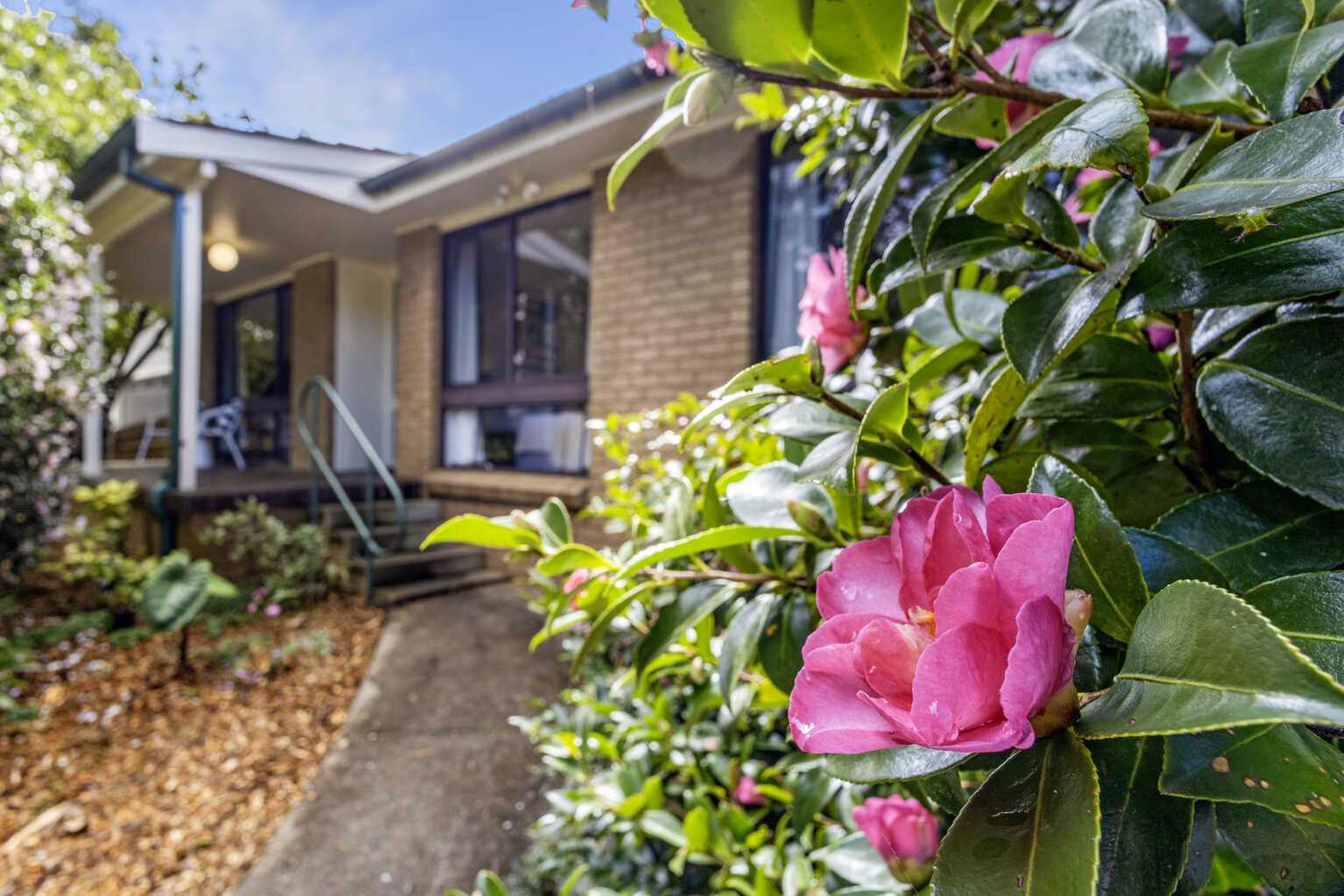 4 Belvidere Avenue Blackheath 4 Belvidere Avenue Blackheath