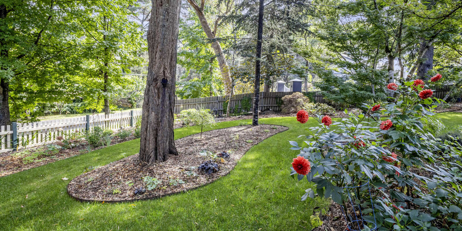 4 Belvidere Avenue Blackheath 4 Belvidere Avenue Blackheath