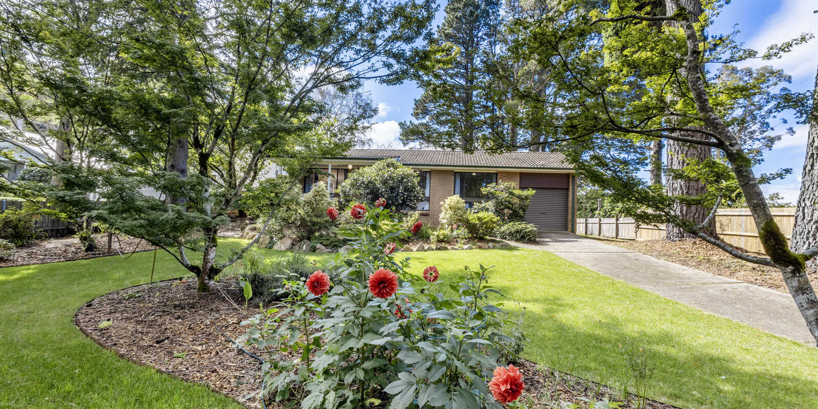 4 Belvidere Avenue Blackheath 4 Belvidere Avenue Blackheath