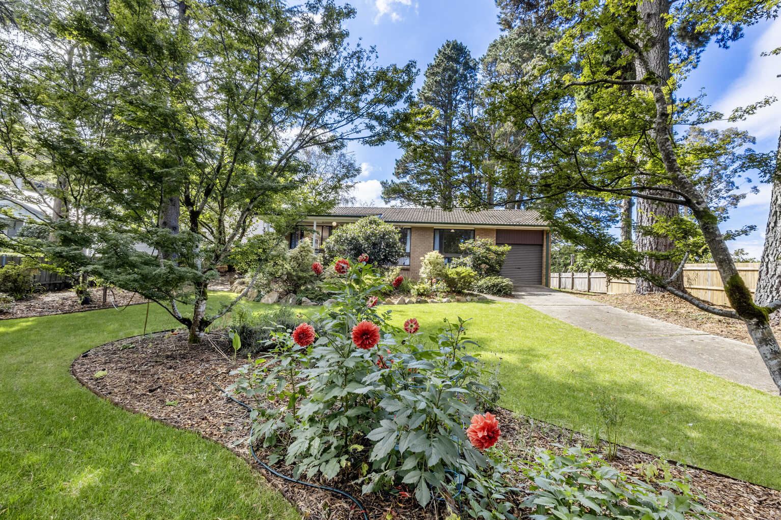 4 Belvidere Avenue Blackheath 4 Belvidere Avenue Blackheath