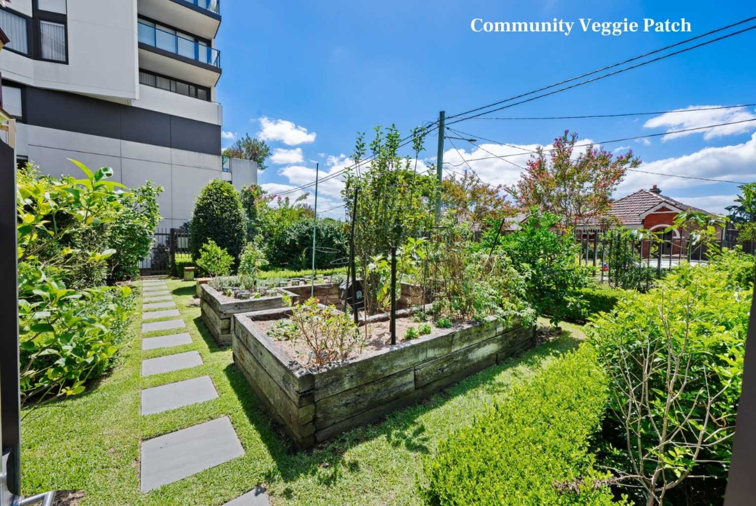 806/18 Lilydale Street Marrickville 806/18 Lilydale Street Marrickville
