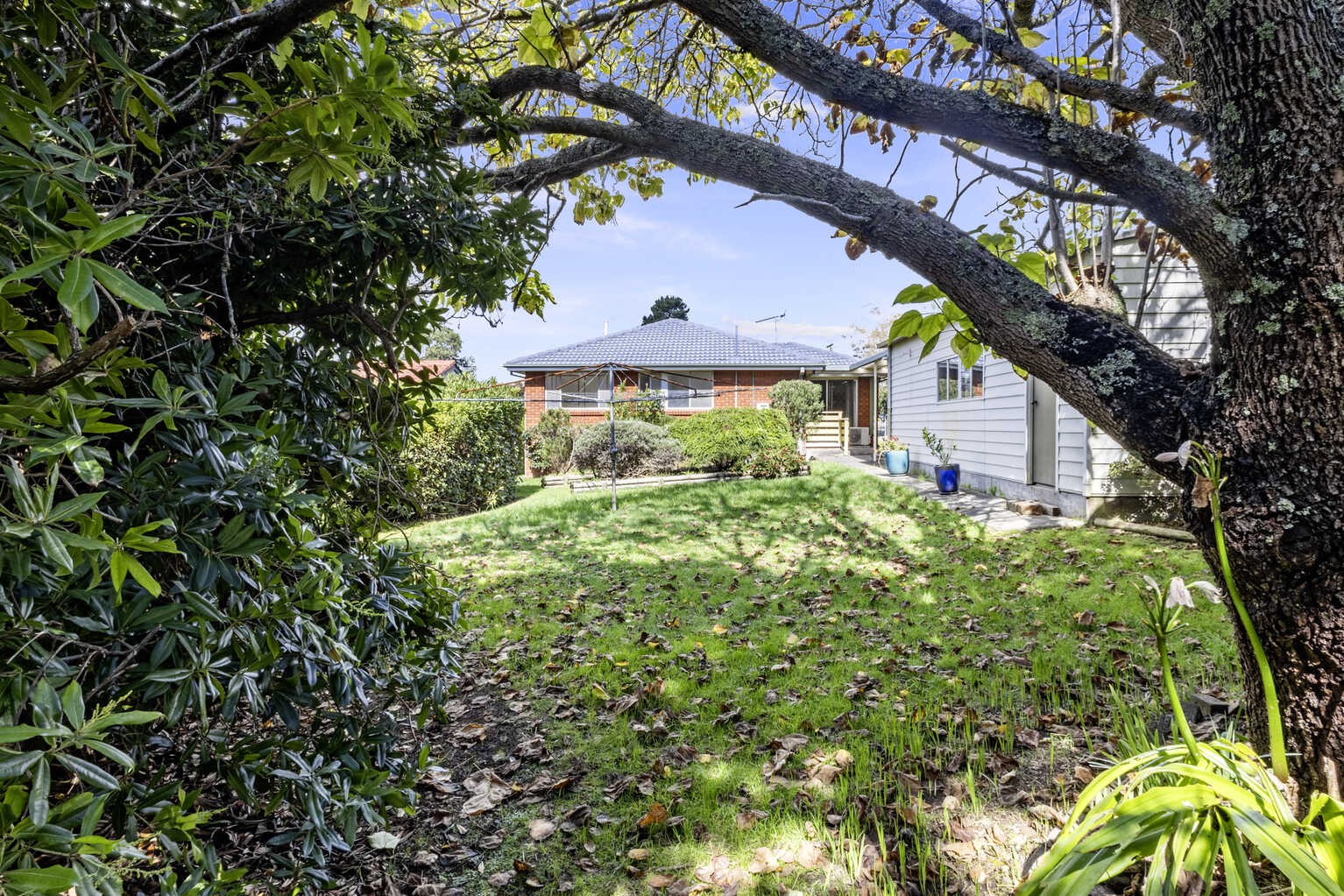 24 Shillington Street Blackheath 24 Shillington Street Blackheath