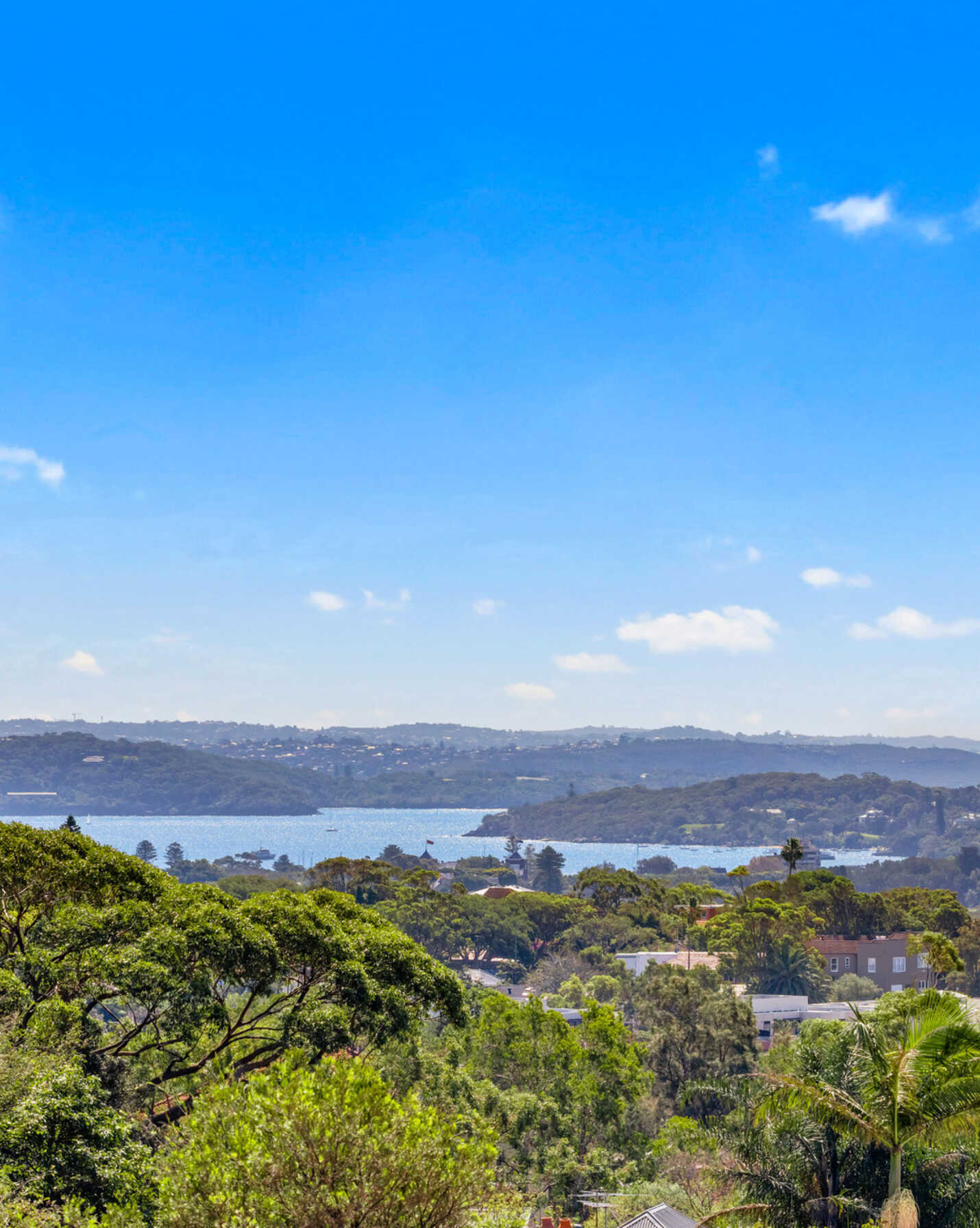 11/4 Castlefield Street Bondi, Bondi - Thumbnail 3