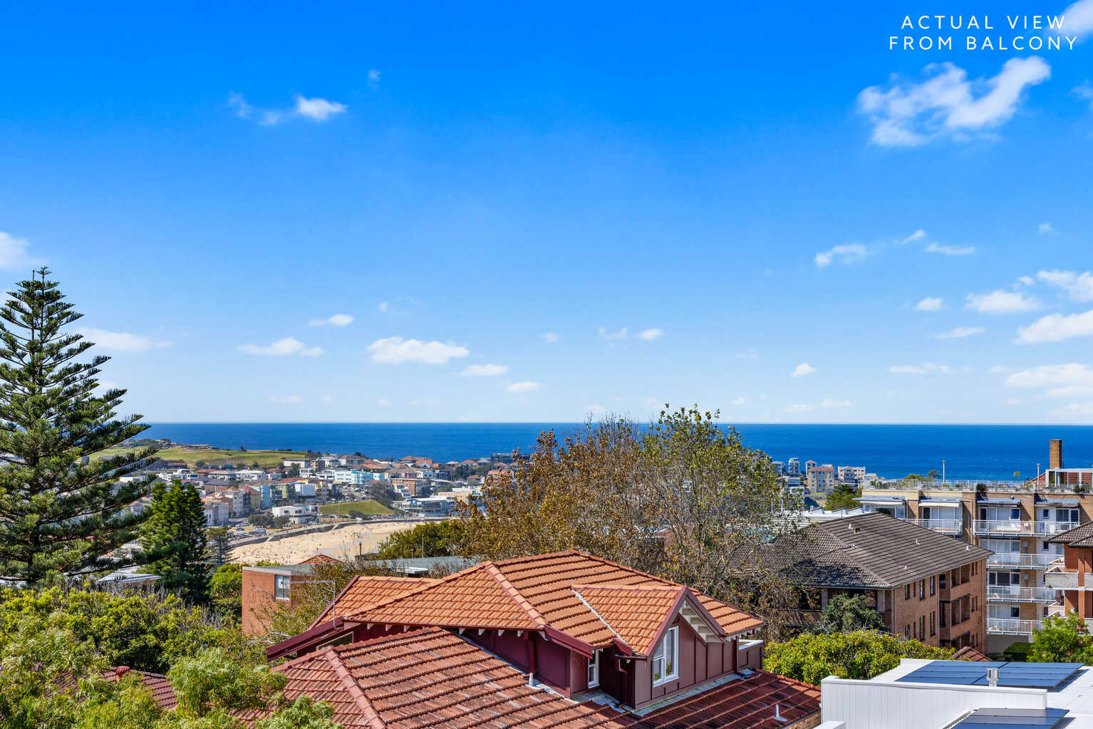 11/4 Castlefield Street Bondi 11/4 Castlefield Street Bondi