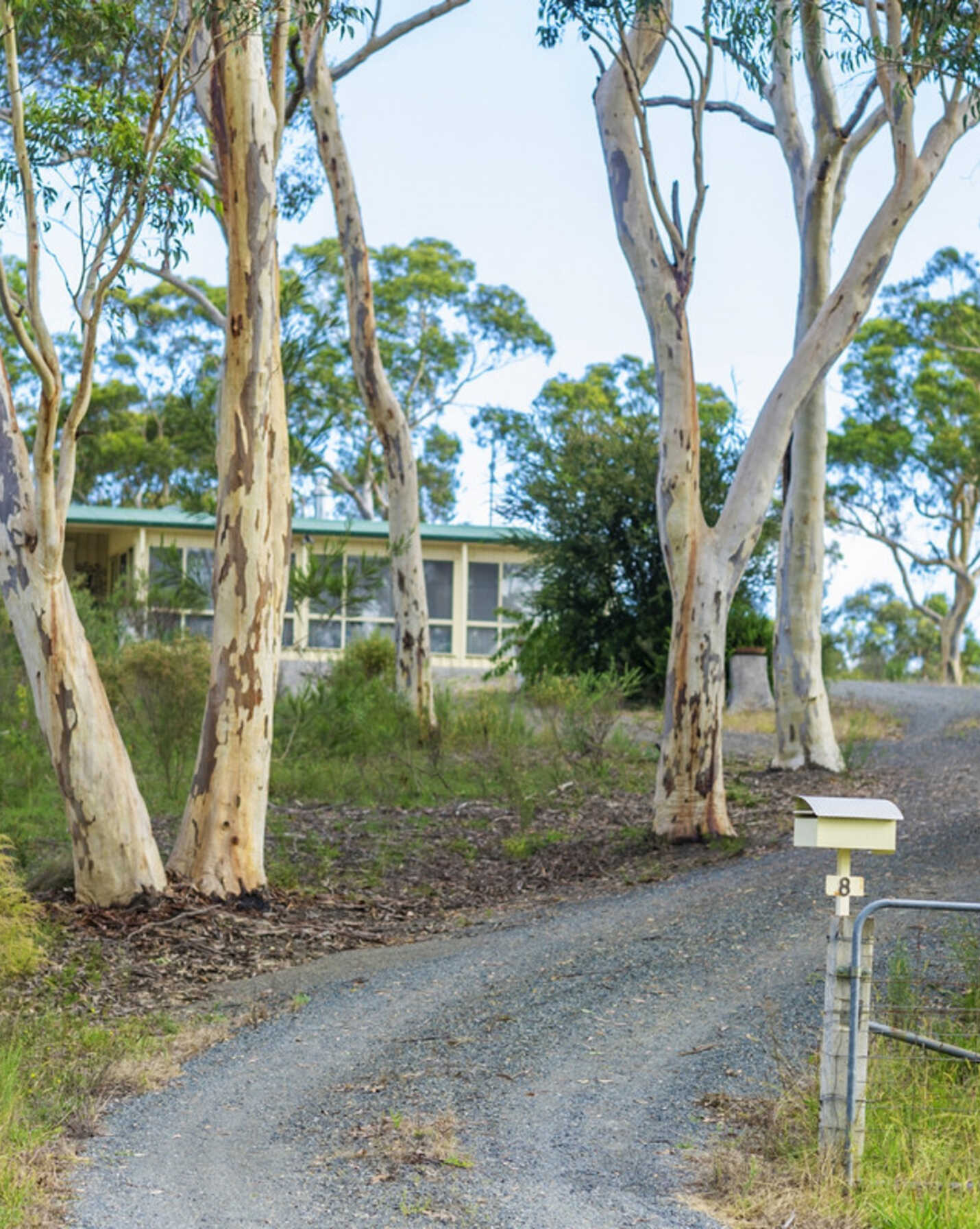 8 Wistringia Place Tallong Marulan, Marulan - Image 1