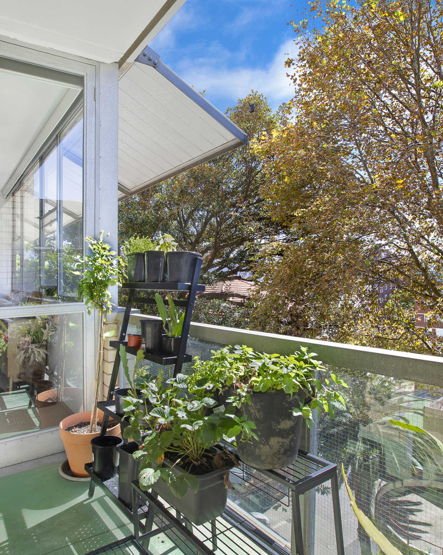 401/12 Ithaca Road Elizabeth Bay, Bay - Thumbnail 2