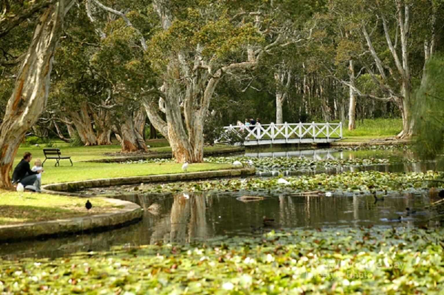 4/68 Cook Road Centennial Park 4/68 Cook Road Centennial Park