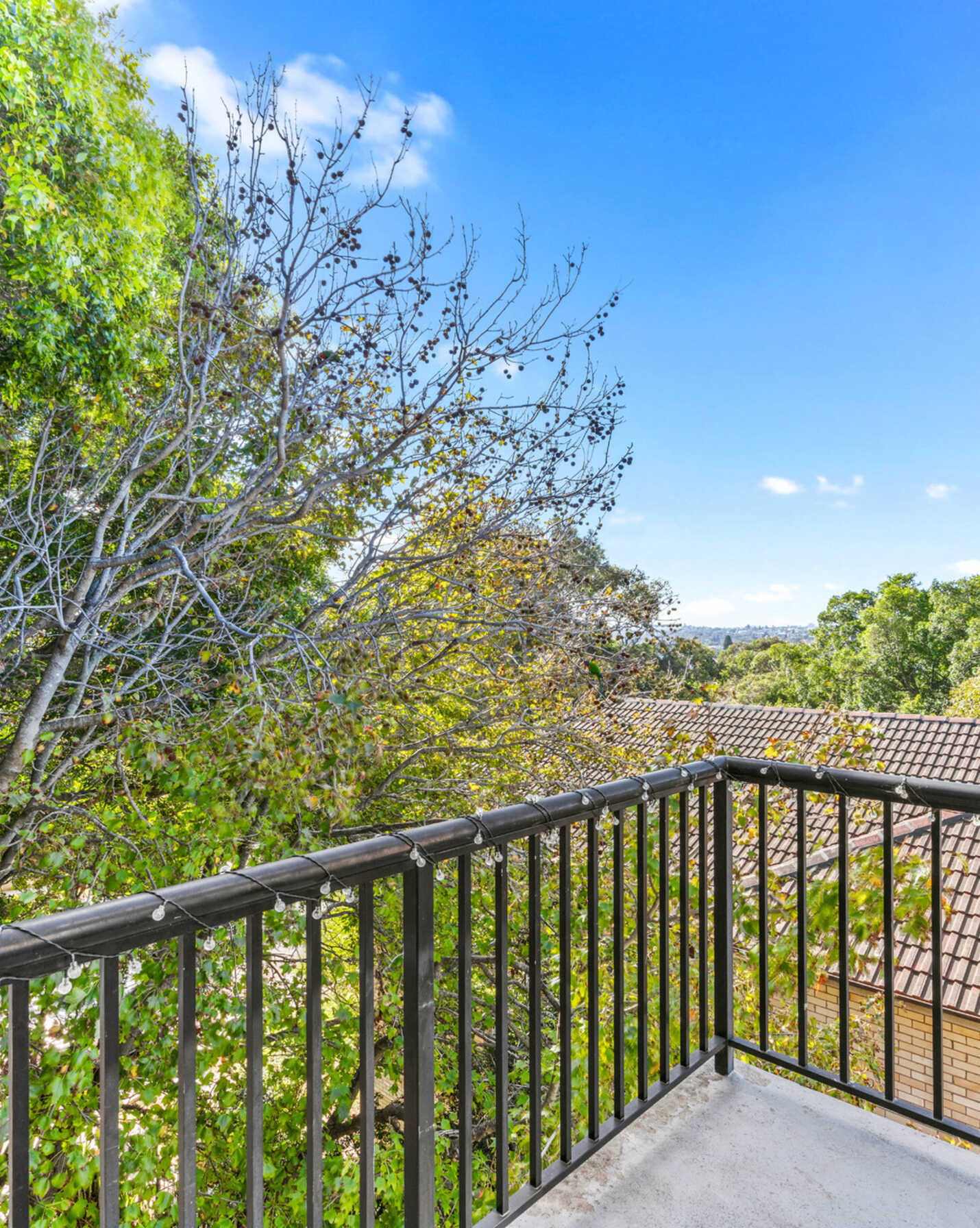 2 Ormond Street Bondi Beach, Beach - Thumbnail 8