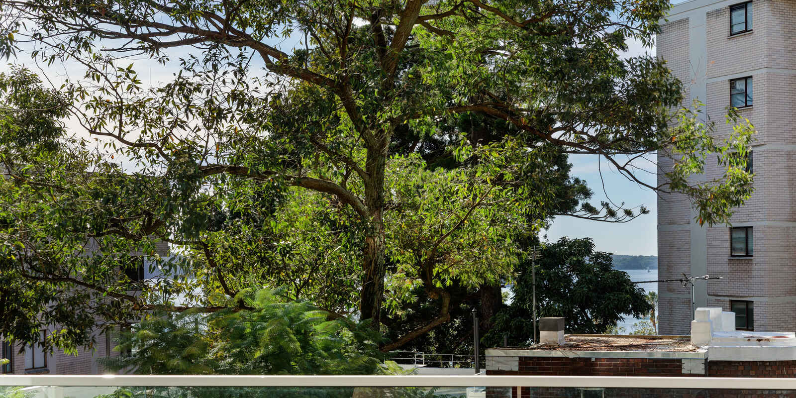 15/8 Greenknowe Avenue Elizabeth Bay