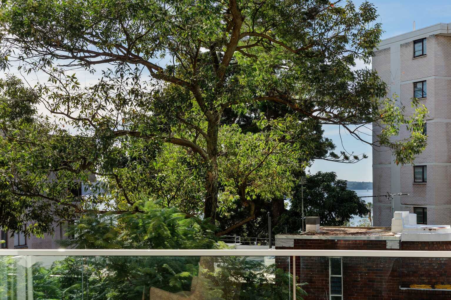 15/8 Greenknowe Avenue Elizabeth Bay