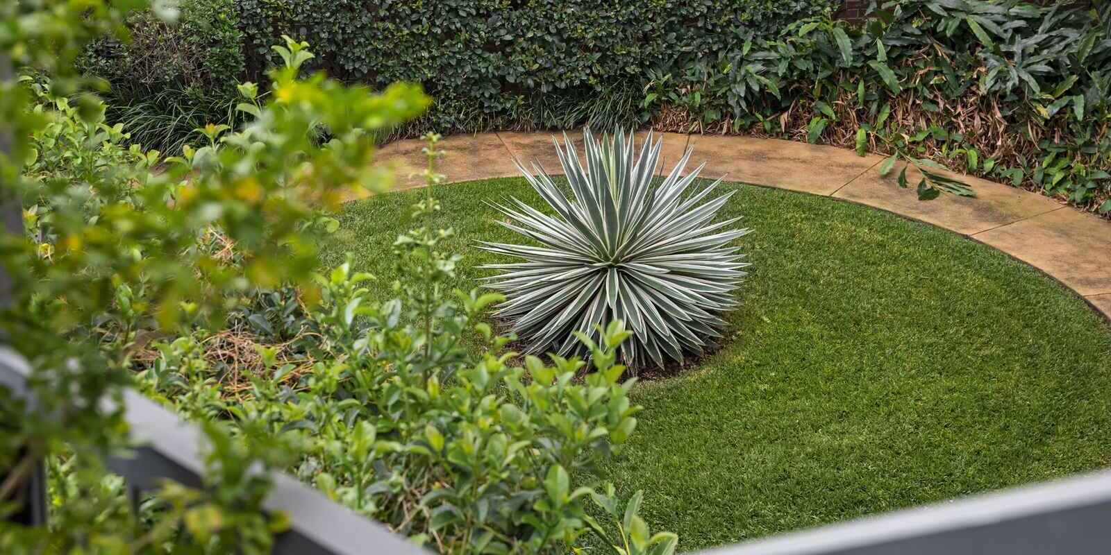 37/12 Leicester Street Marrickville 37/12 Leicester Street Marrickville