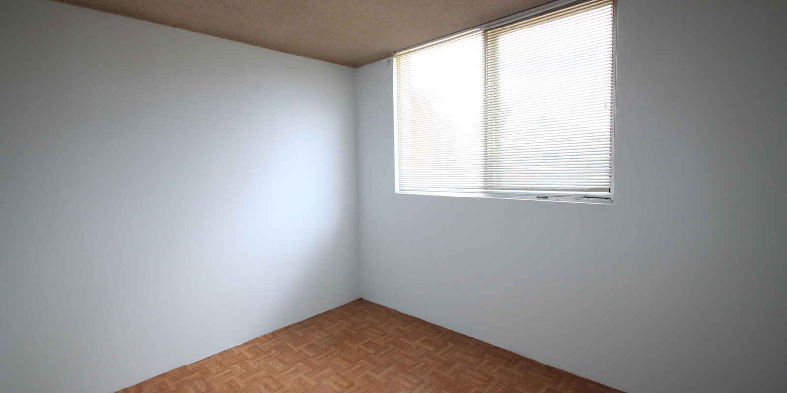 6/62 Arthur Street Marrickville