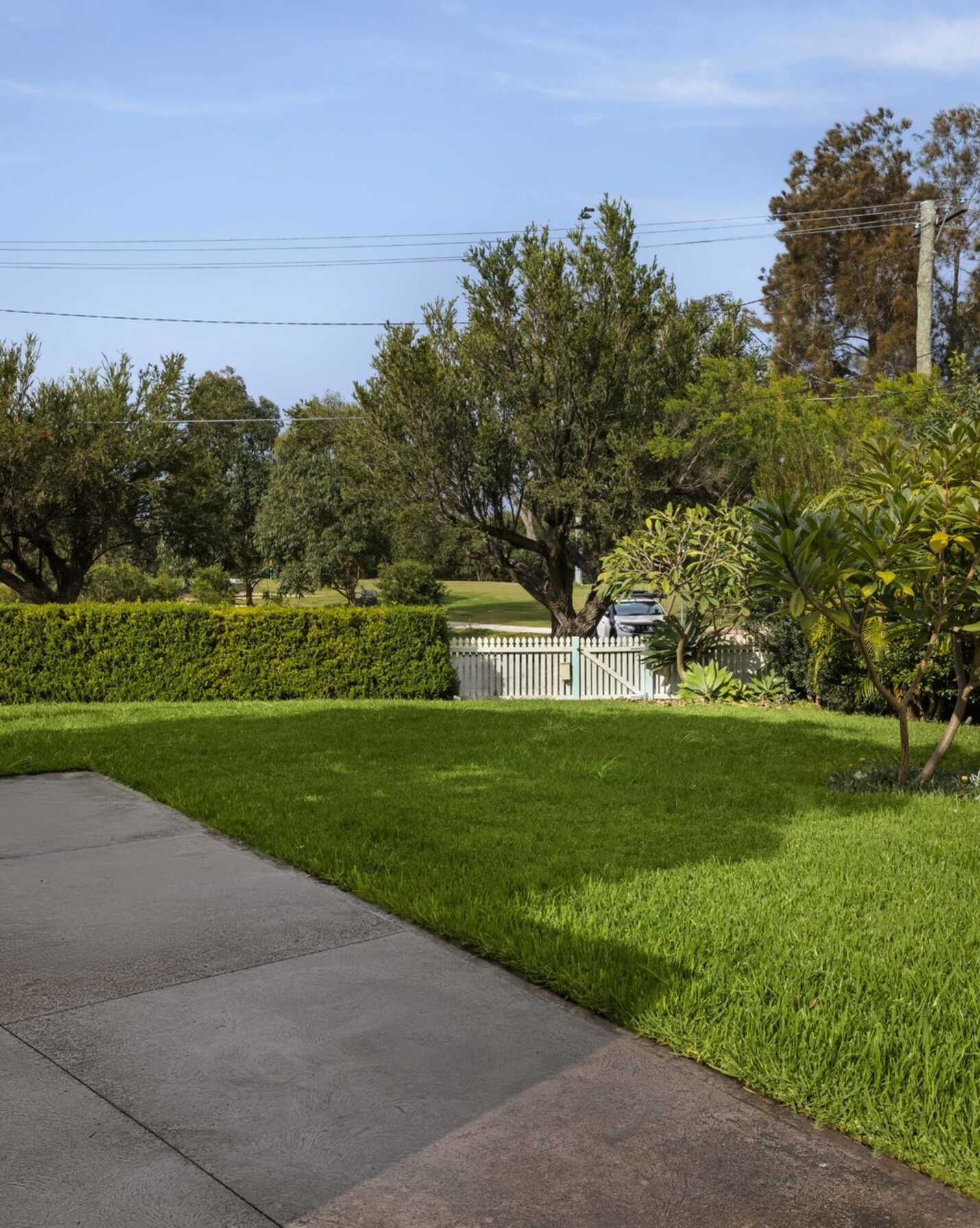 36 Tennent Parade Hurlstone Park, Park - Thumbnail 3