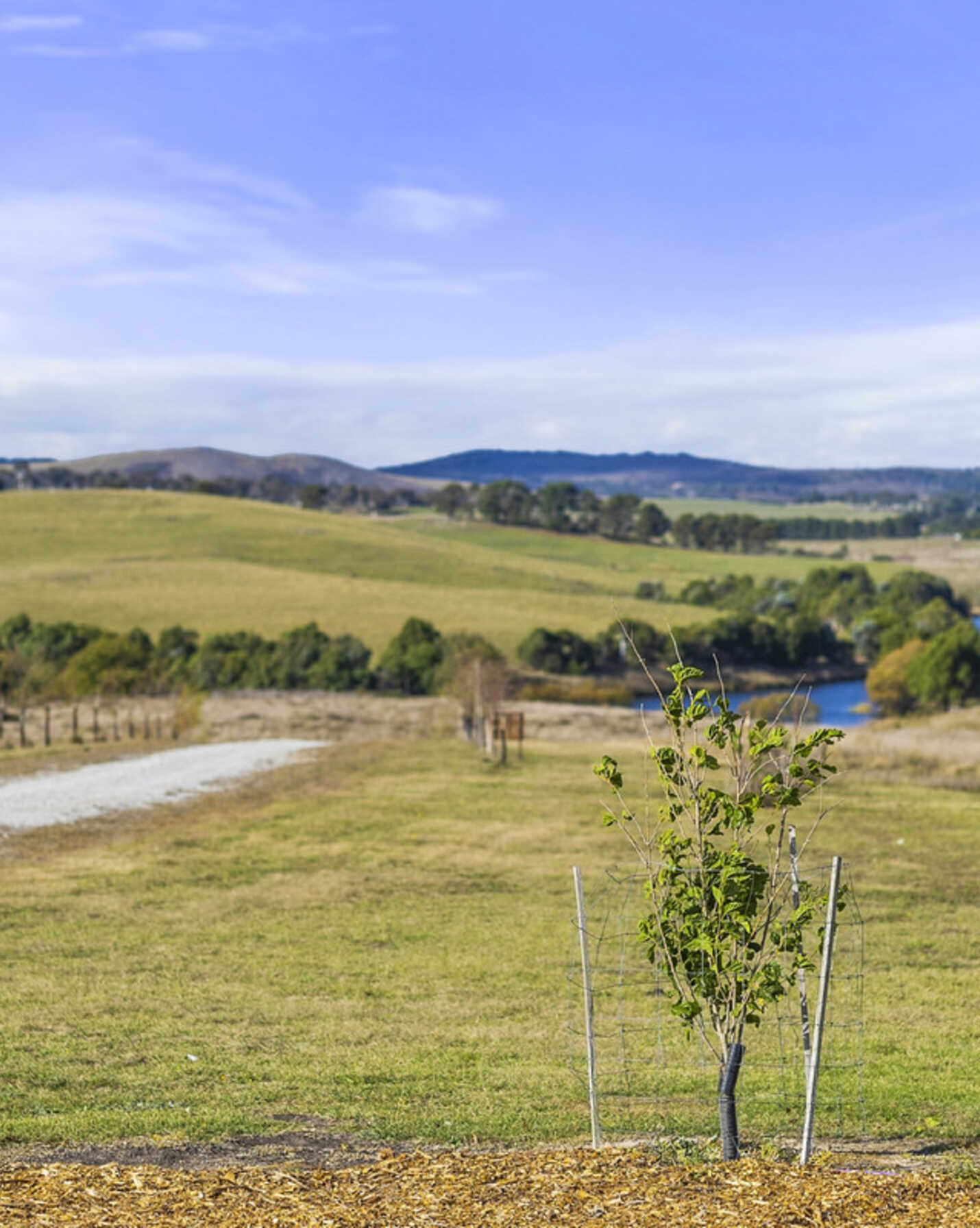 289 St Stephens Road Wayo Goulburn, Goulburn - Thumbnail 6