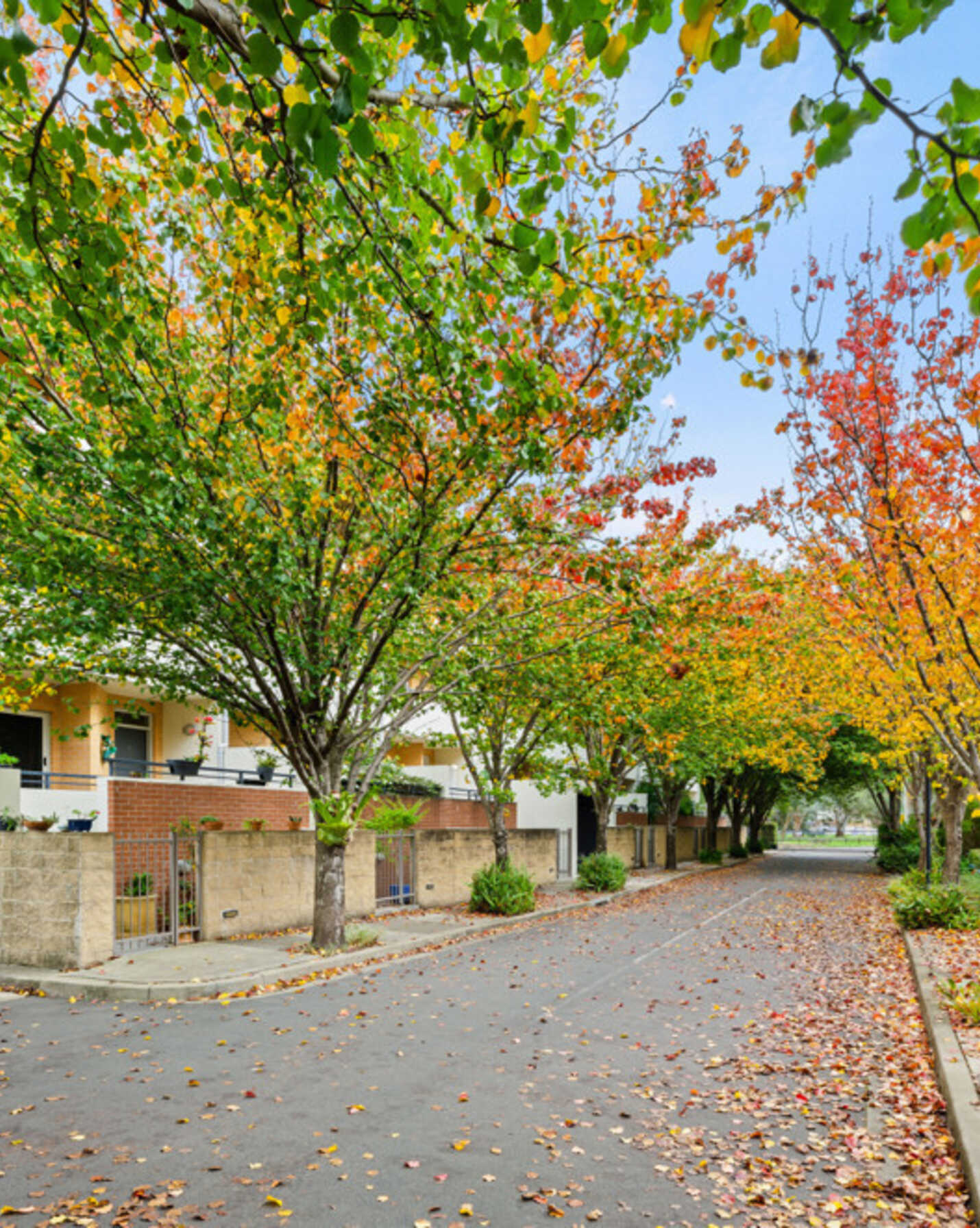 73/20 Close Street Canterbury, Canterbury - Thumbnail 5