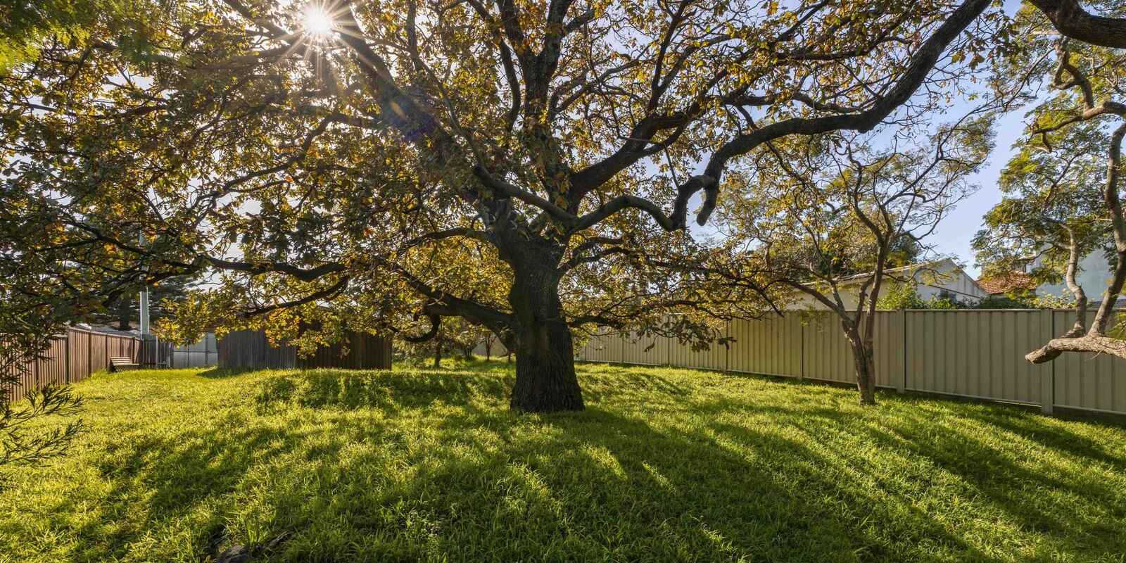 86, 88-90 Maroubra Road Maroubra
