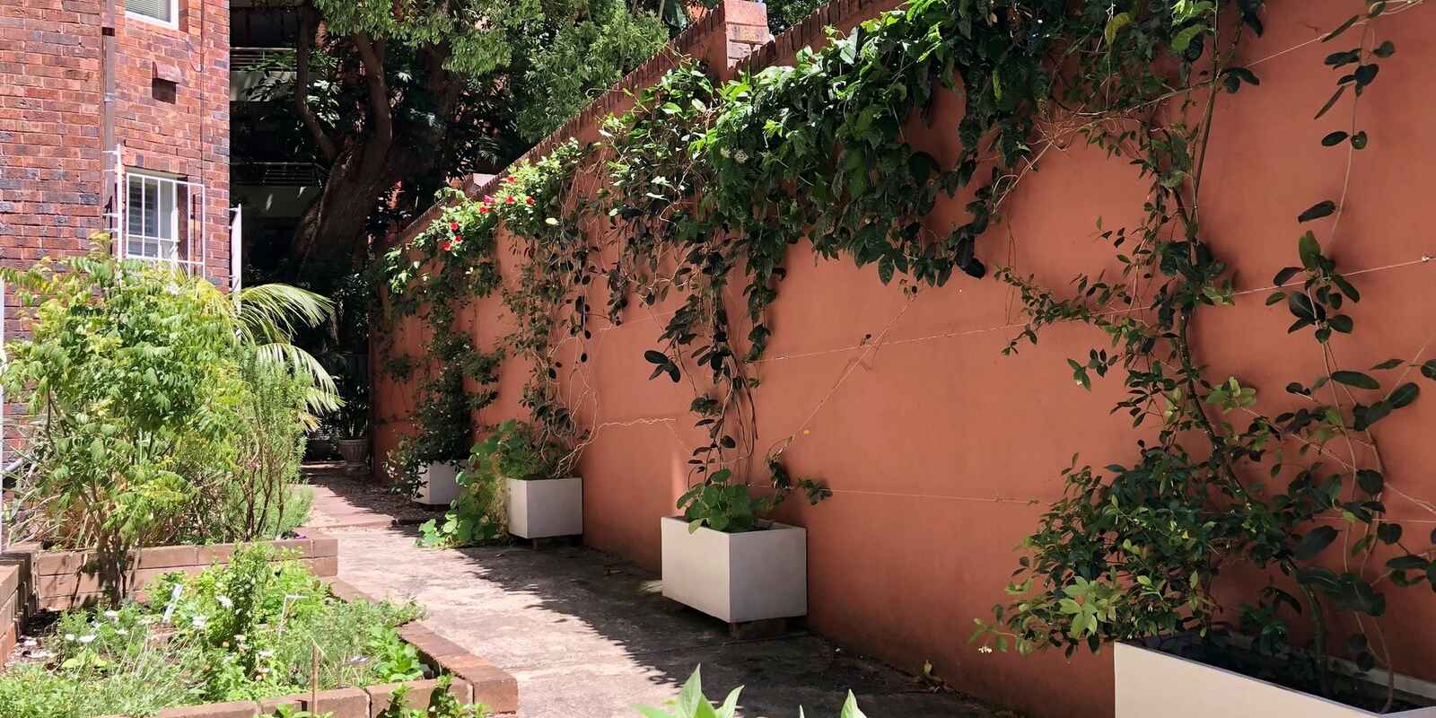 3/8 Birtley Place Elizabeth Bay 3/8 Birtley Place Elizabeth Bay