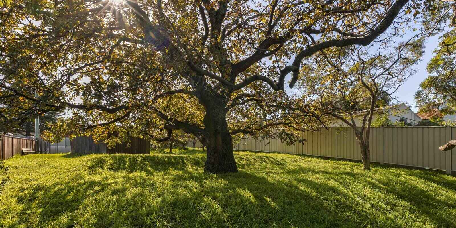 86, 88-90 Maroubra Road Maroubra 86, 88-90 Maroubra Road Maroubra