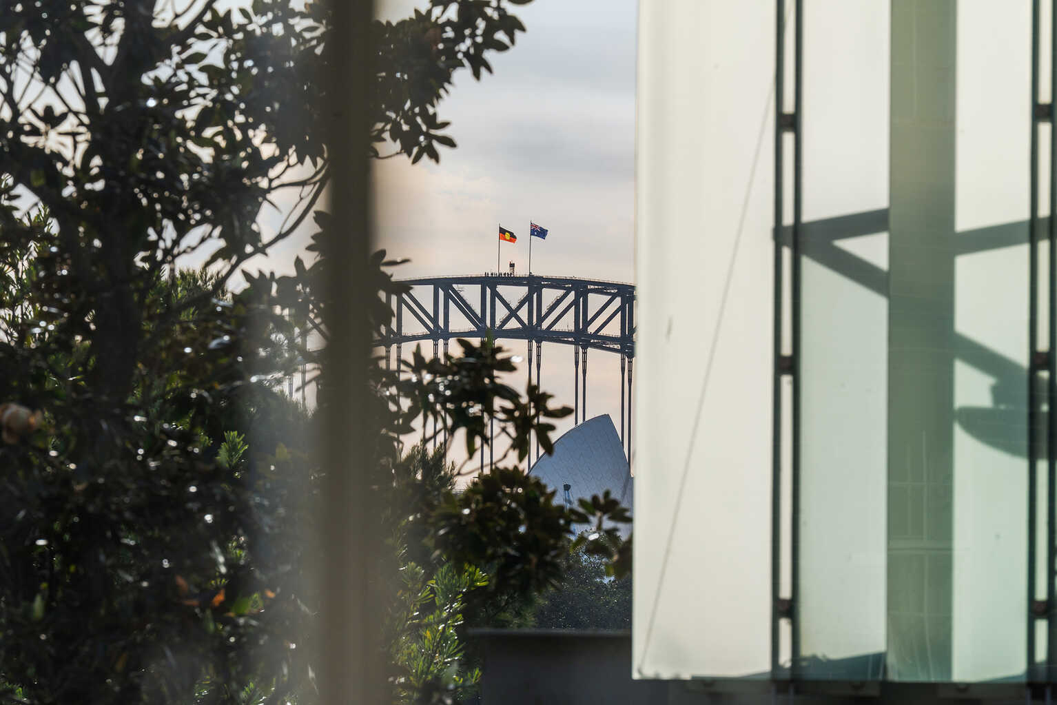 7/2 St Neot Avenue Potts Point 7/2 St Neot Avenue Potts Point