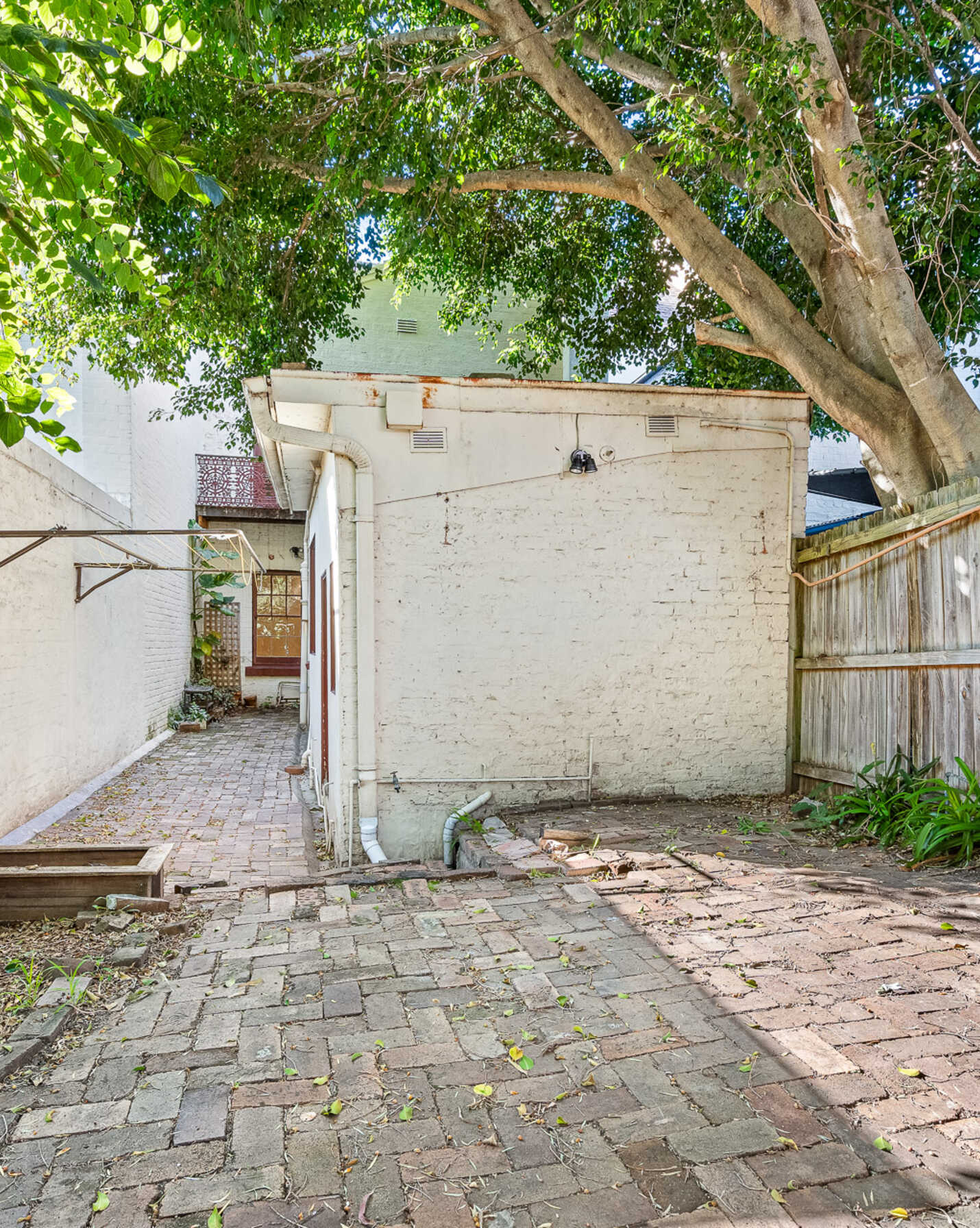 6 Phillip Street Newtown, Newtown - Thumbnail 8