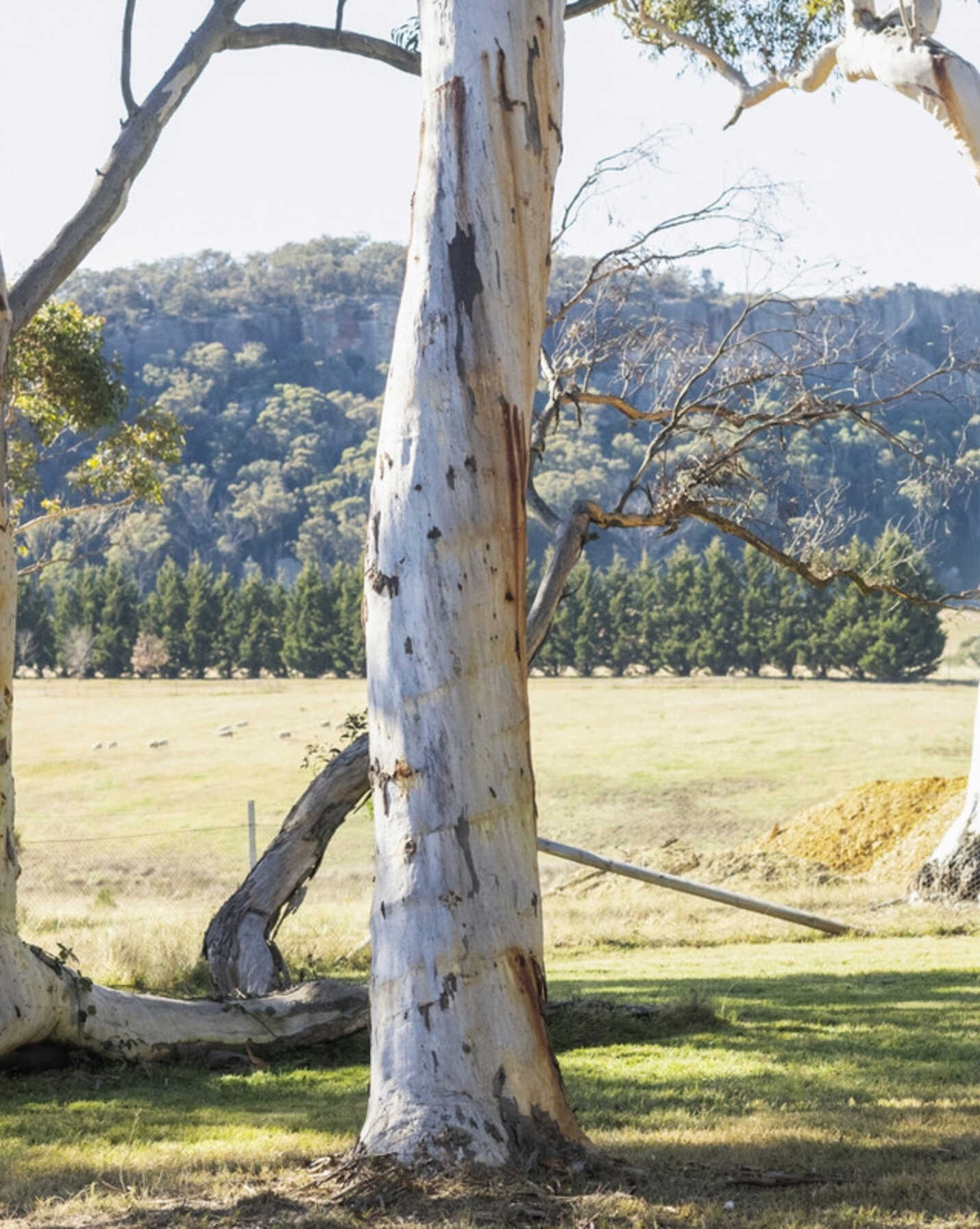 Goulburn, Goulburn - Thumbnail 7
