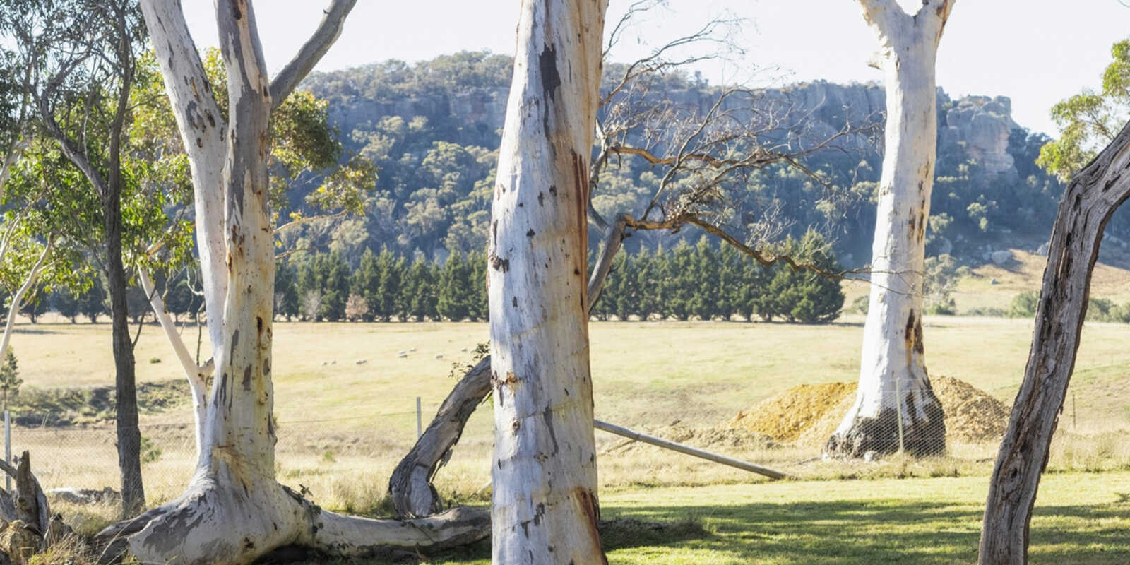 Goulburn Goulburn