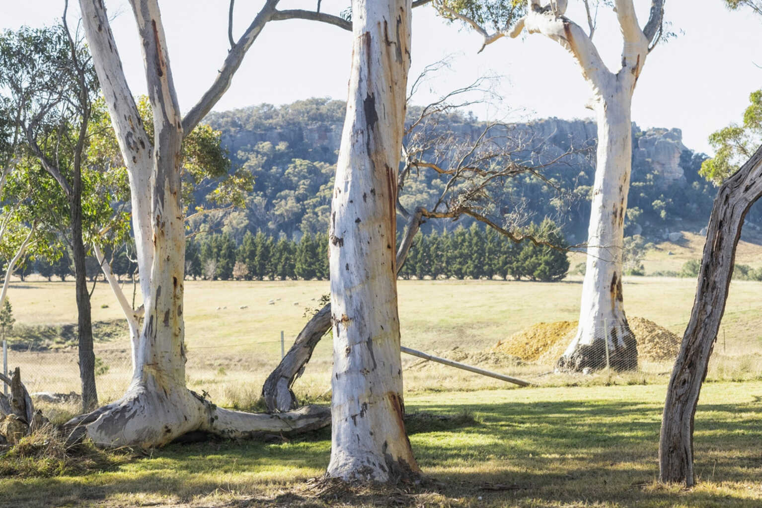Goulburn Goulburn