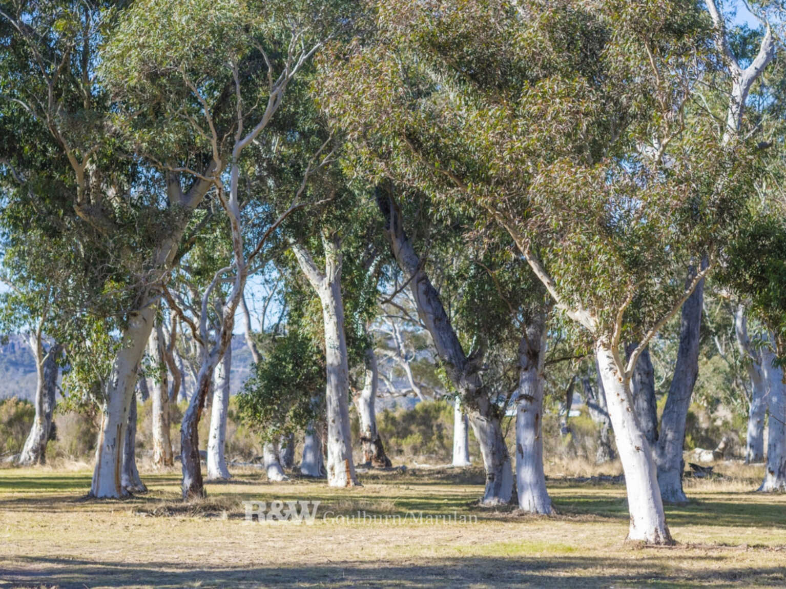 Goulburn Goulburn