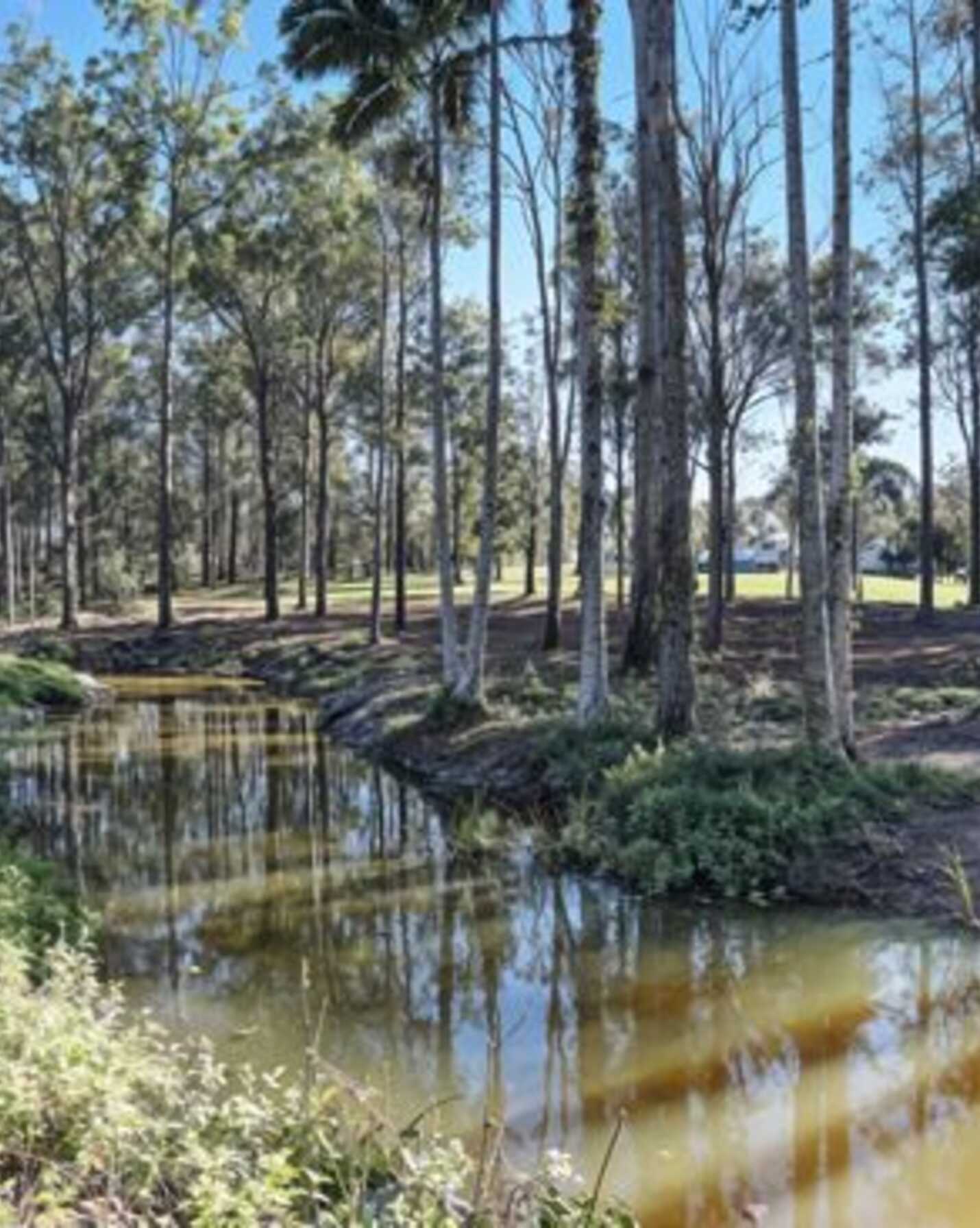 79 Mount Mee Road Delaneys Creek, Creek - Thumbnail 3
