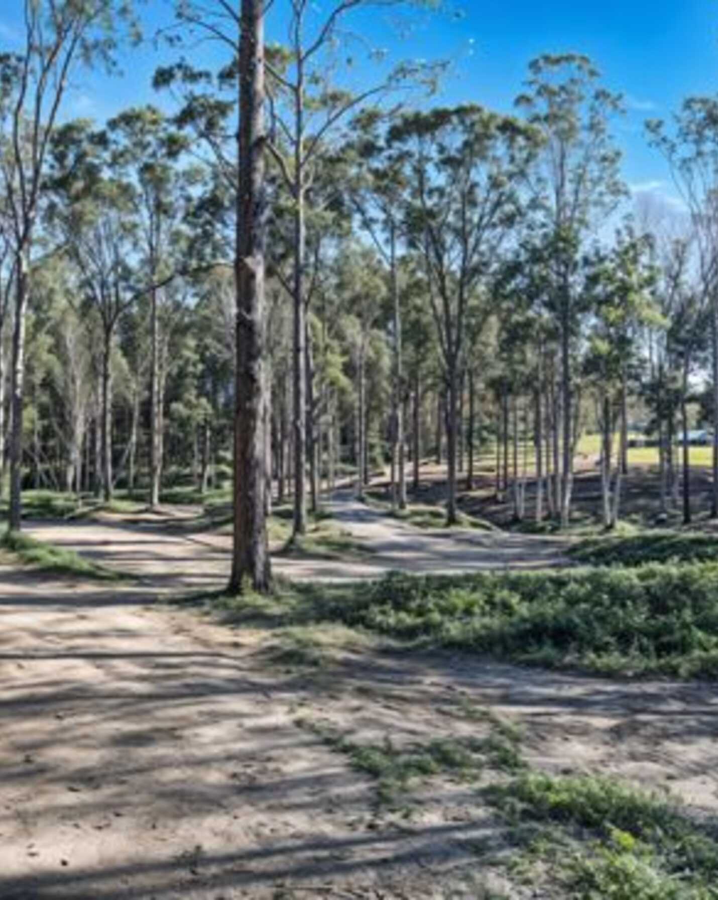 79 Mount Mee Road Delaneys Creek, Creek - Thumbnail 4
