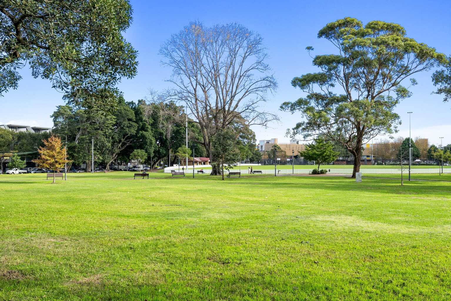 42 Alexander Street Alexandria