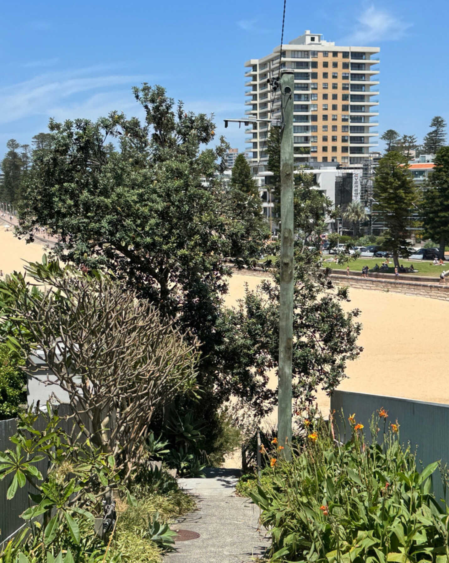 13/7 Queenscliff Road Queenscliff, Queenscliff - Thumbnail 7
