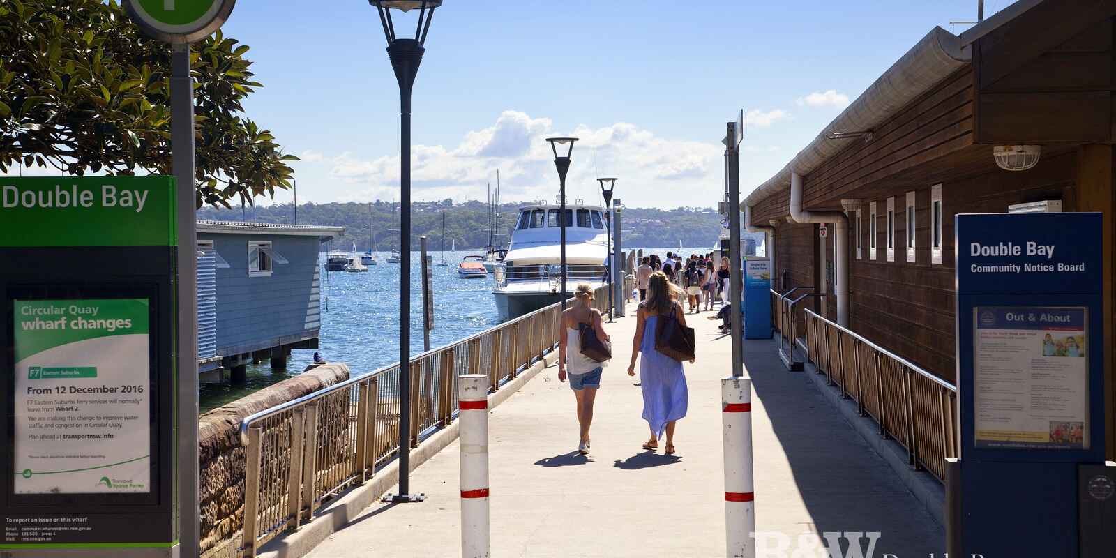 1/2 Marathon Road Darling Point