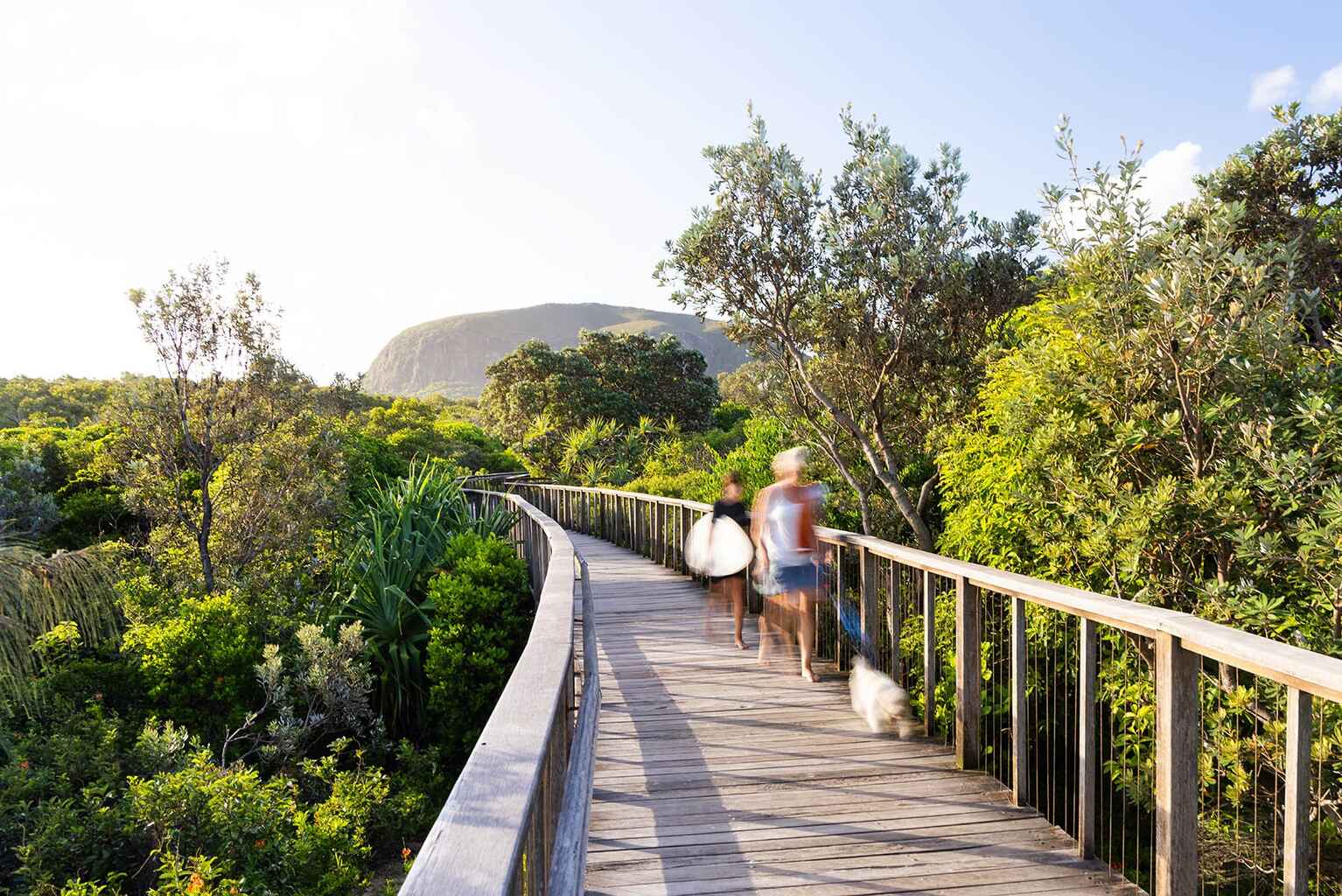 1106/27 Boardwalk Boulevard Mount Coolum 1106/27 Boardwalk Boulevard Mount Coolum